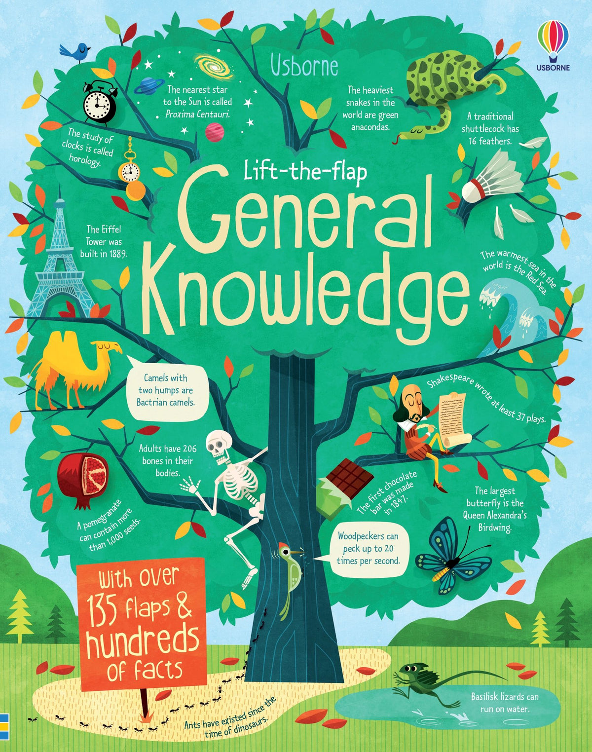 Coperta cărții „Lift-the-Flap General Knowledge”, reprezentativă pentru colecția See Inside