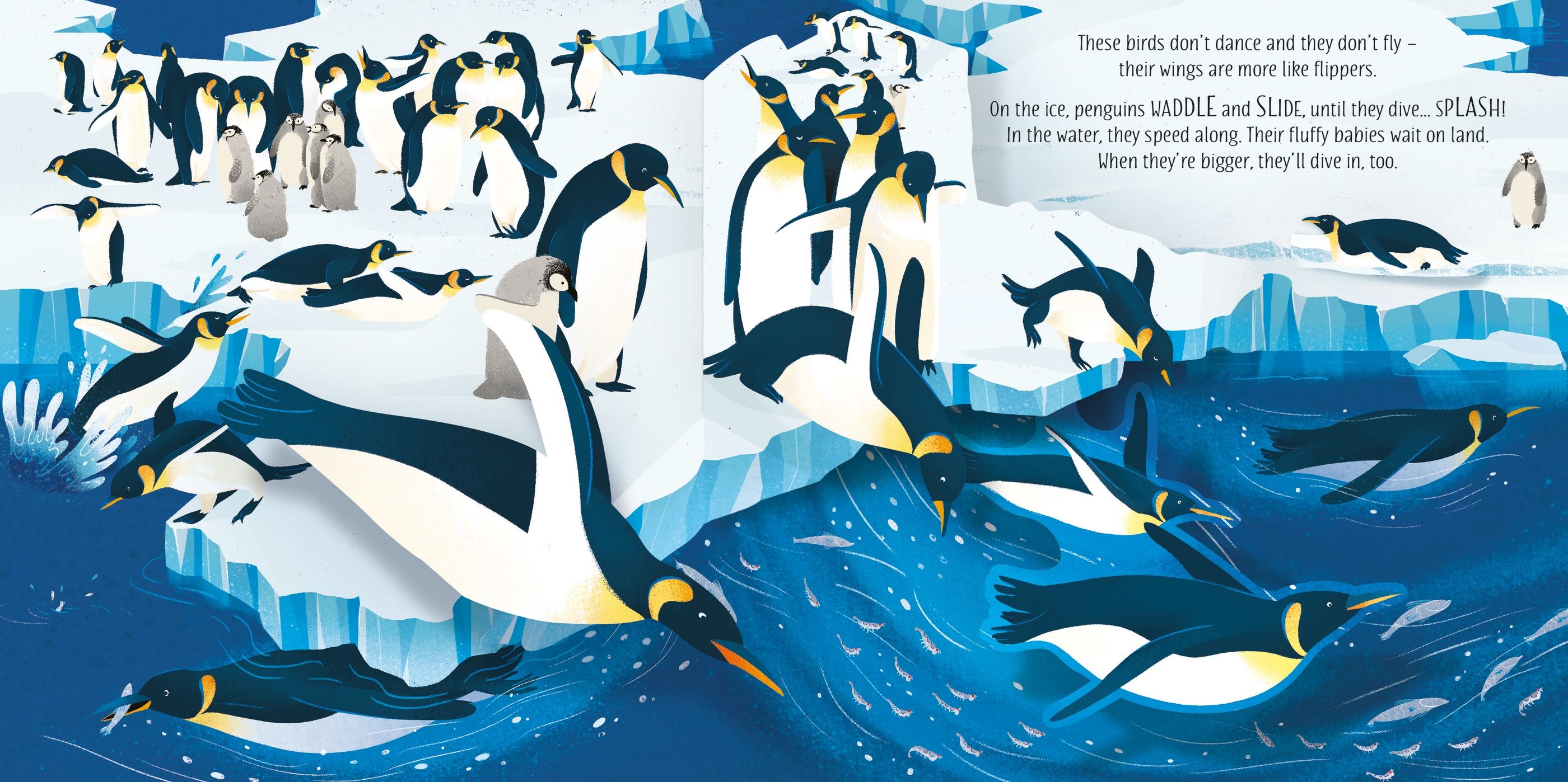 Usborne – Pop-Up Birds – Carte pentru copii 5+ ani – carte pentru copii Usborne, detalii conținut