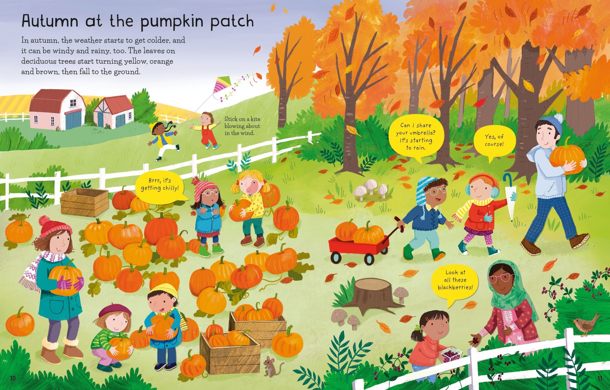 Usborne – First Sticker Book Weather and Seasons – Carte cu stickere pentru copii 3+ ani – carte pentru copii Usborne, detalii conținut cu abțibilduri