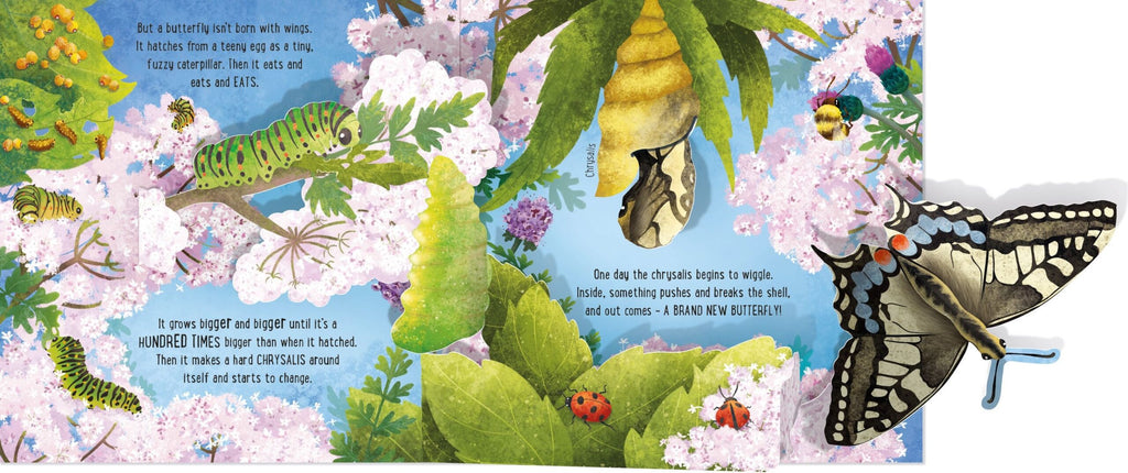 Usborne – Pop-Up Butterflies – Carte pentru copii 5+ ani – carte pentru copii Usborne, preview pagini