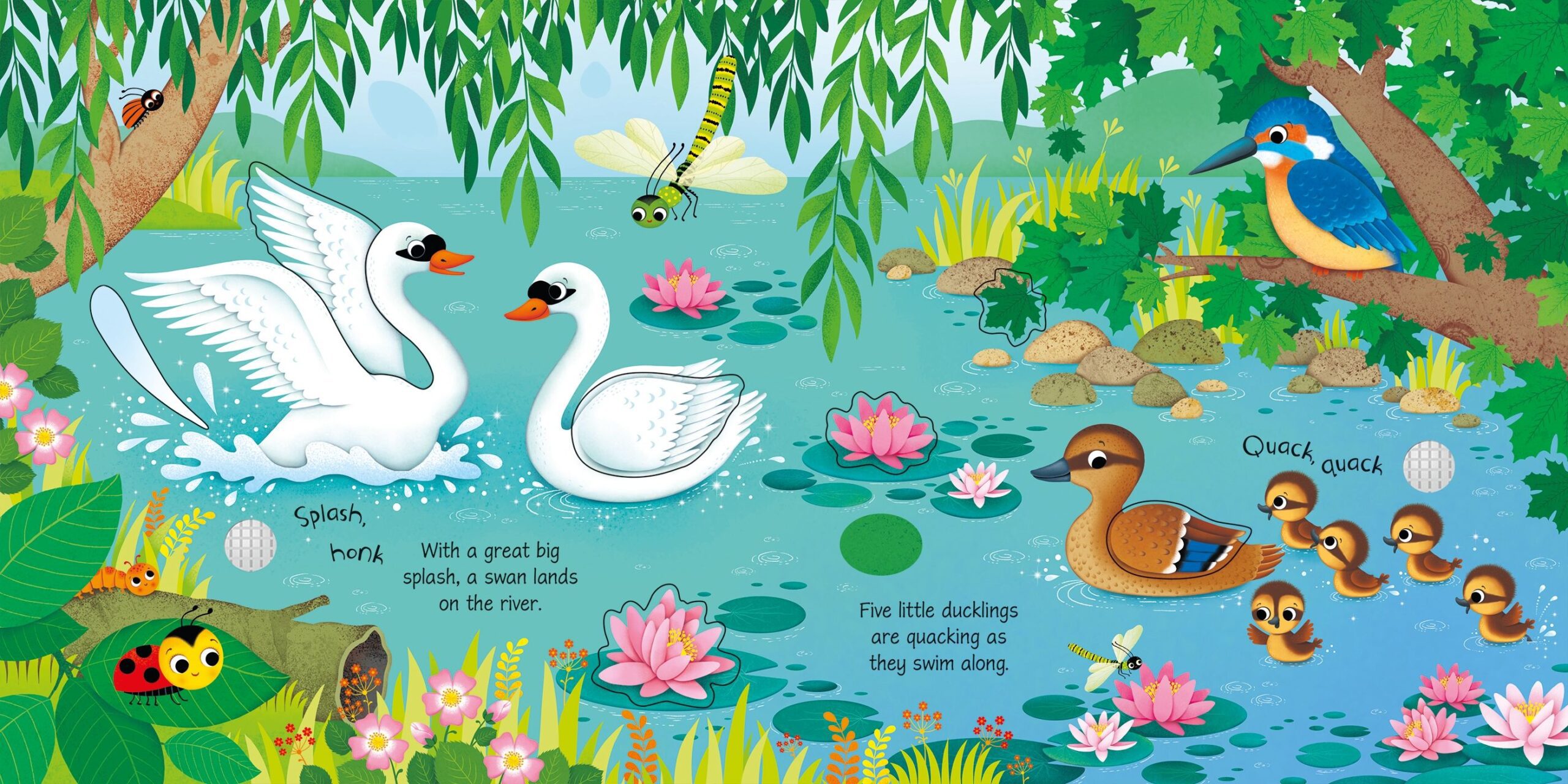 Usborne – Bird Sounds – Carte pentru copii 3+ ani – carte pentru copii Usborne, pagini interior ilustrate