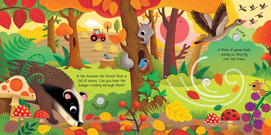 Usborne – Seasons Sounds – Carte cu sunete pentru copii 3+ ani – carte pentru copii Usborne, detalii conținut cu sunete