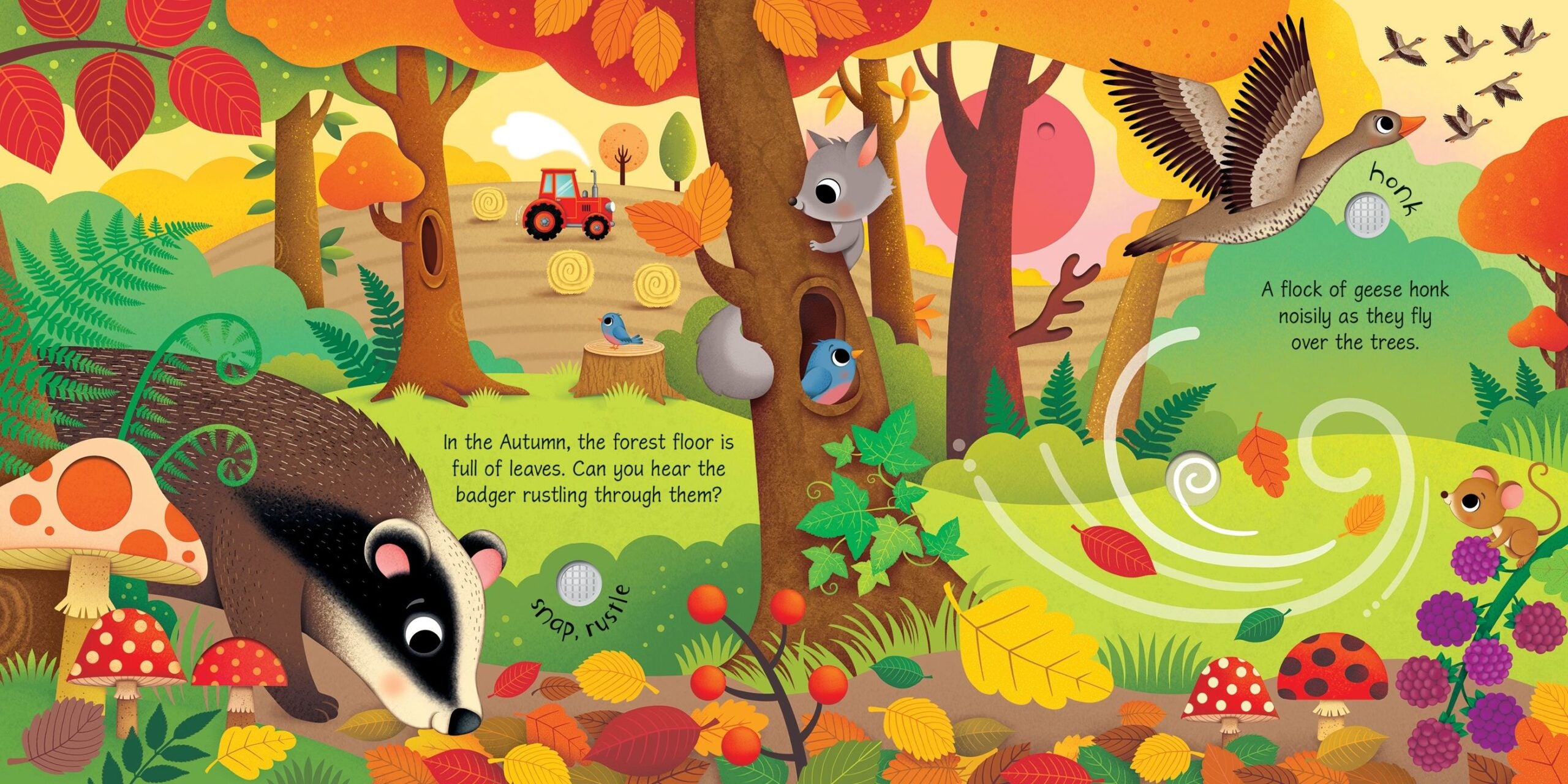 Usborne – Seasons Sounds – Carte cu sunete pentru copii 3+ ani – carte pentru copii Usborne, detalii conținut cu sunete