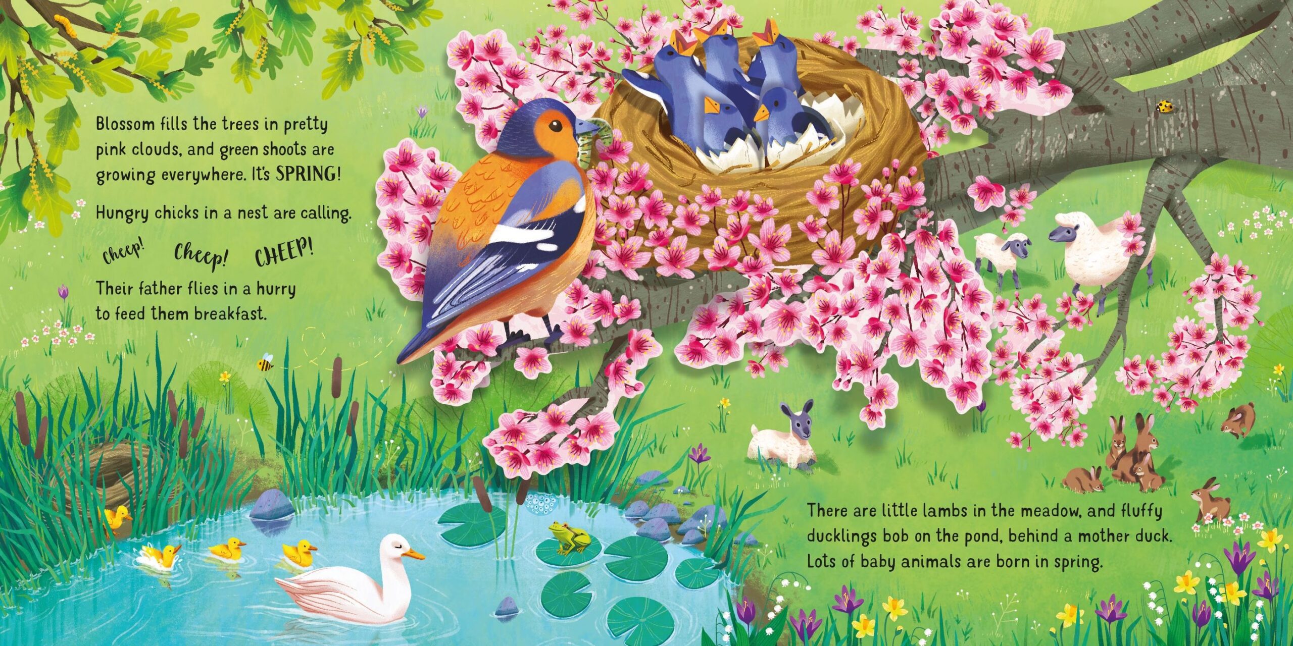 Usborne – Pop-Up Seasons – Carte pentru copii 3+ ani – carte pentru copii Usborne, preview pagini