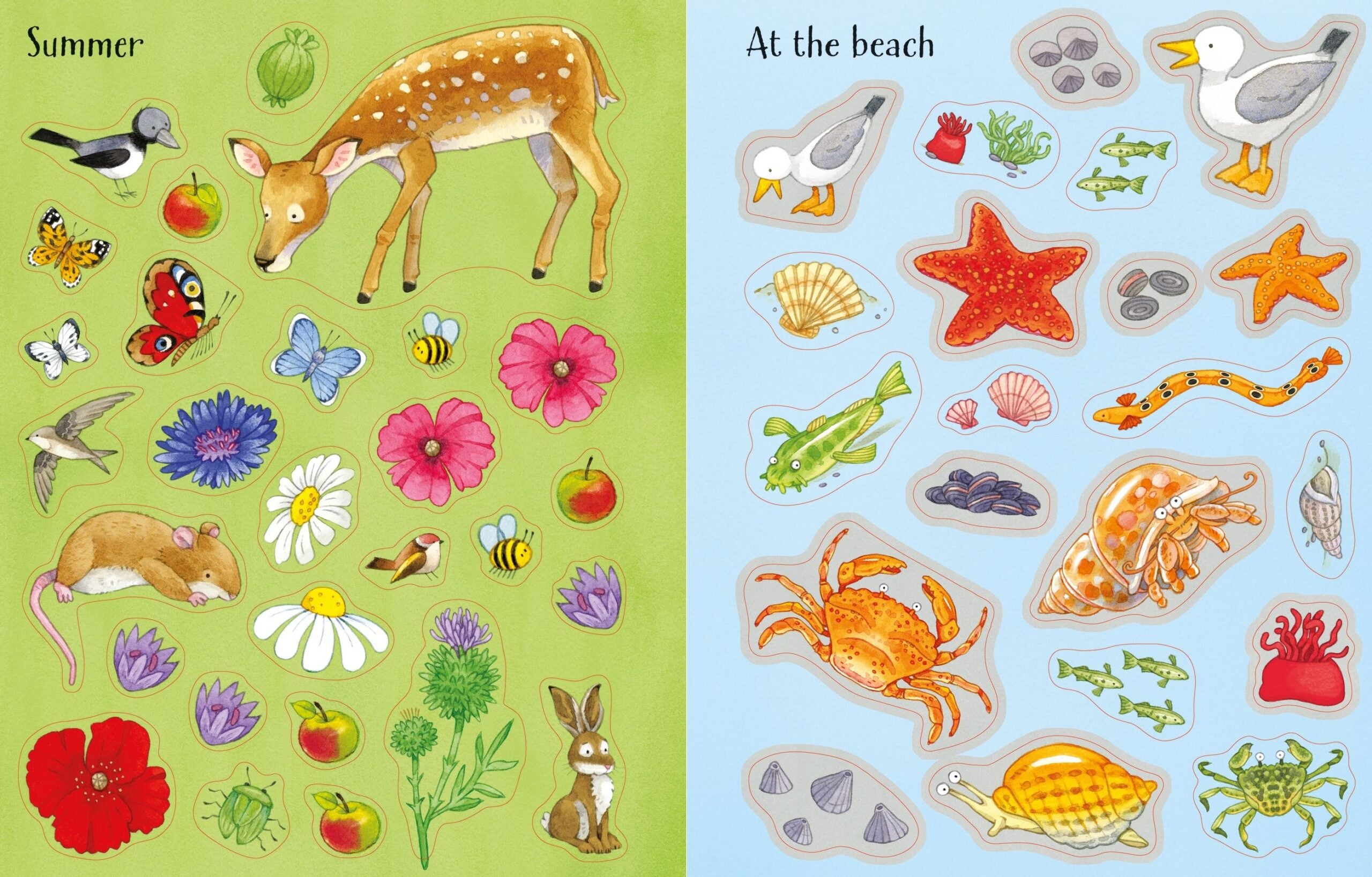 Usborne – Poppy and Sam's Nature Sticker Book – Carte cu stickere pentru copii 3+ ani – carte pentru copii Usborne, preview pagini