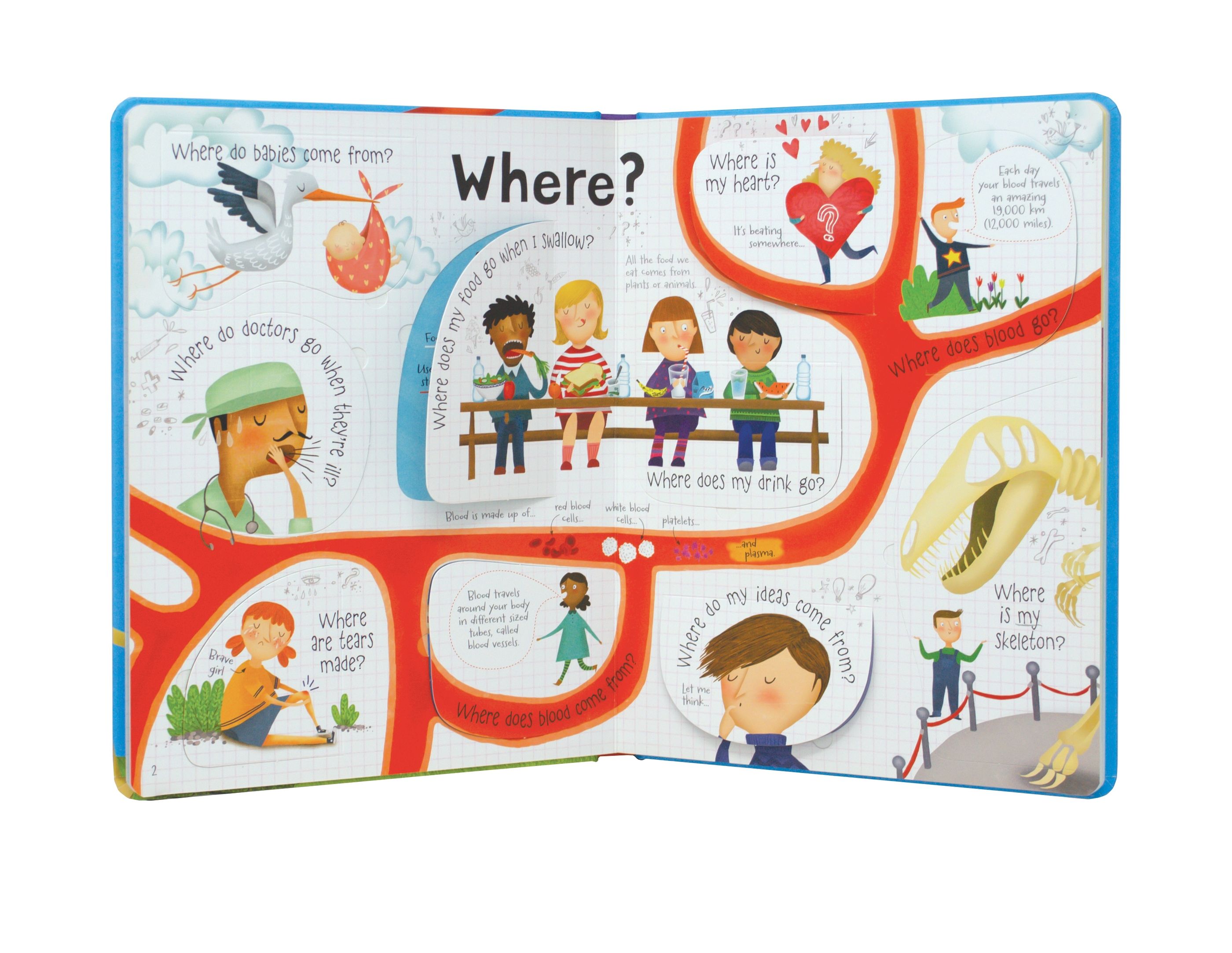 Usborne – Lift-the-flap Questions and Answers about your Body – Carte cu clapete pentru copii 4+ ani – carte pentru copii Usborne, preview pagini