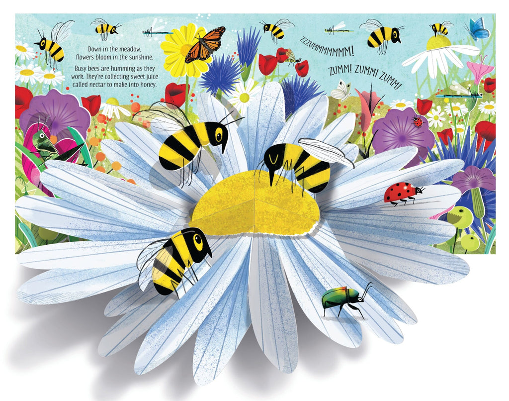 Usborne – Pop-Up Nature – Carte pentru copii 5+ ani – carte pentru copii Usborne, pagini interior ilustrate