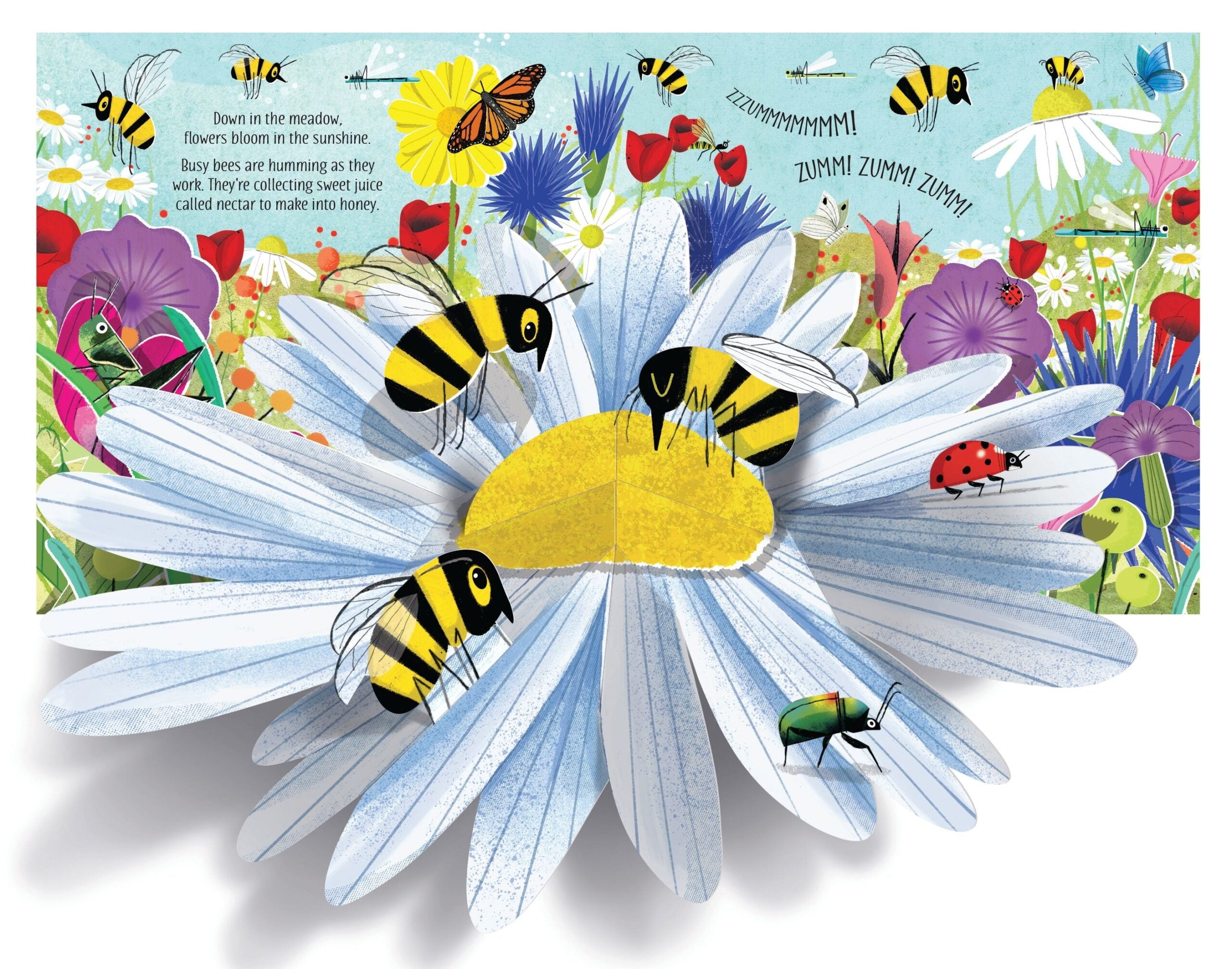 Usborne – Pop-Up Nature – Carte pentru copii 5+ ani – carte pentru copii Usborne, pagini interior ilustrate