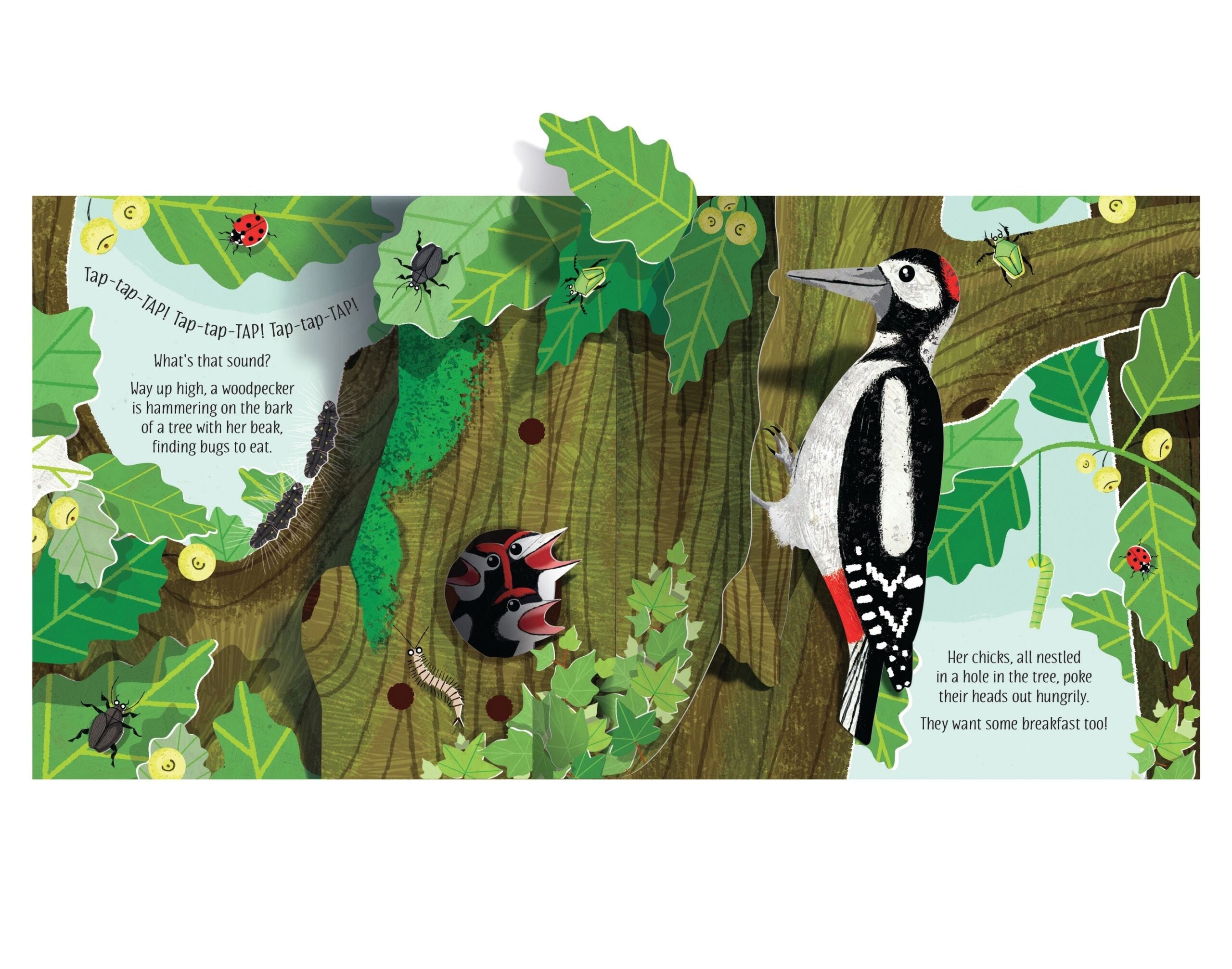 Usborne – Pop-Up Nature – Carte pentru copii 5+ ani – carte pentru copii Usborne, preview pagini