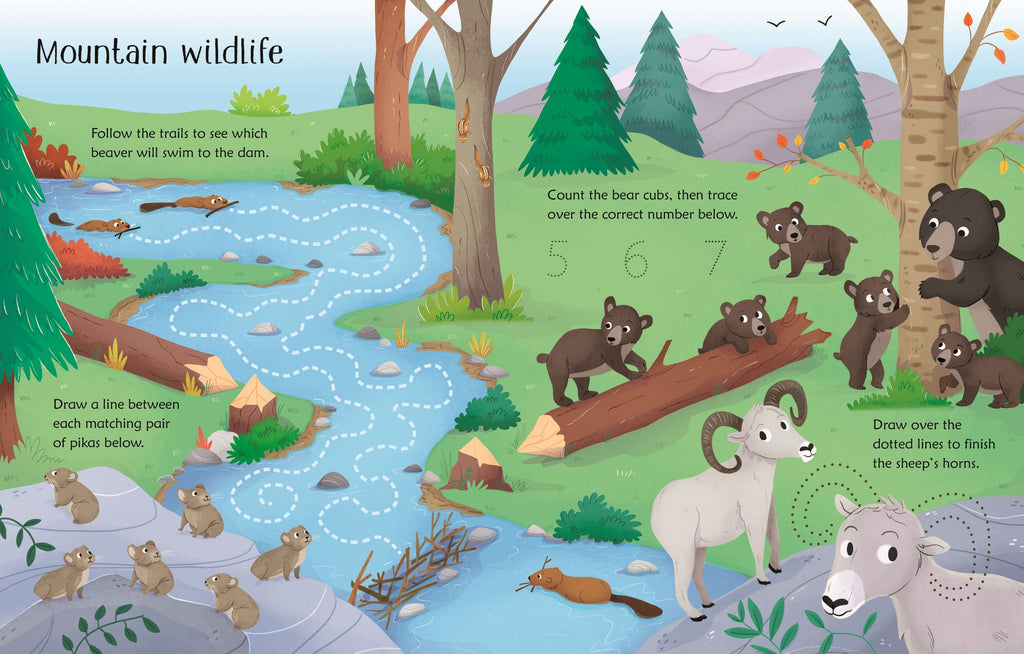 Usborne – Wipe-Clean Nature Activities – Carte de activități (refolosibilă) pentru copii 3+ ani – carte pentru copii Usborne, detalii conținut