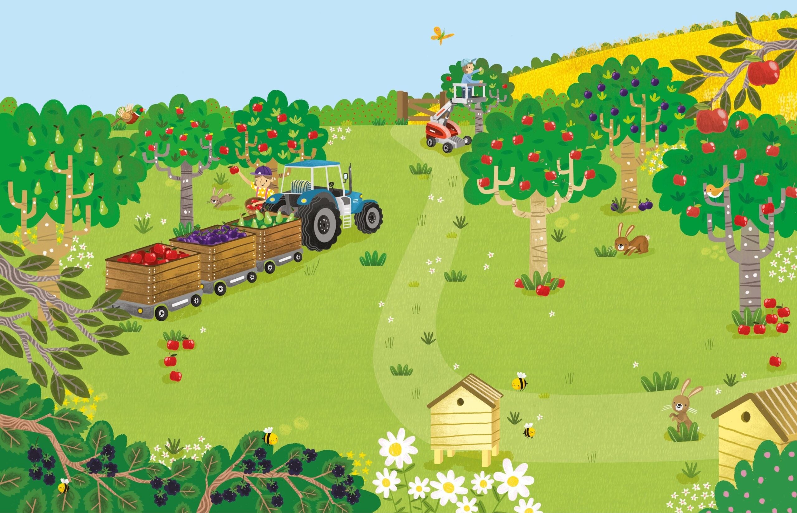 Usborne – First Sticker Book Farm – Carte cu stickere pentru copii 3+ ani – carte pentru copii Usborne, preview pagini