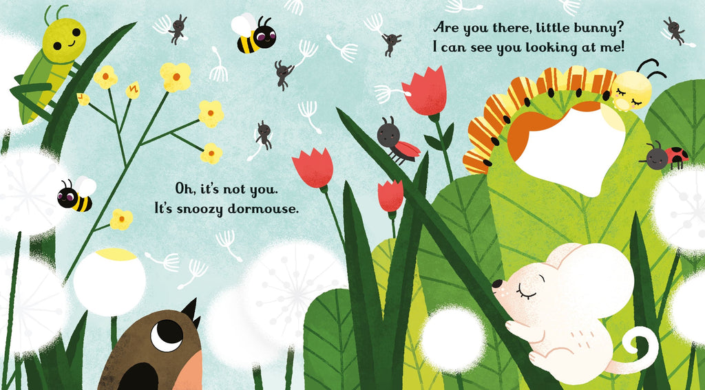 Usborne – Are you there little Bunny – Carte pentru copii 6+ luni – carte pentru copii Usborne, pagini interior ilustrate