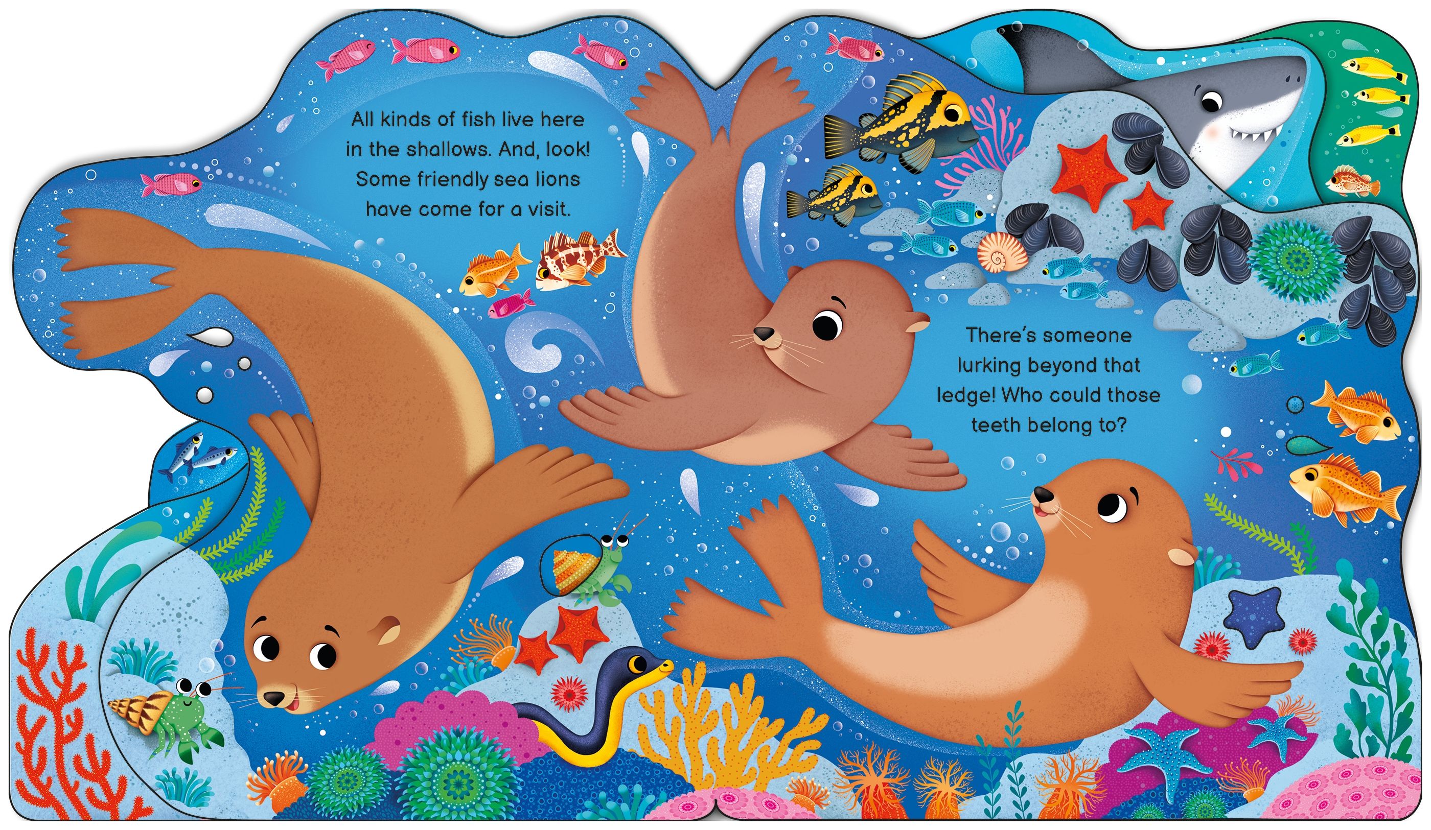 Usborne – Who's in the Ocean Today? – Carte pentru copii 12+ luni – carte pentru copii Usborne, preview pagini
