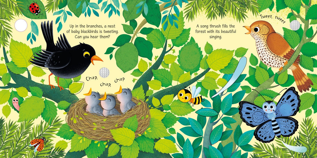Usborne – Bird Sounds – Carte pentru copii 3+ ani – carte pentru copii Usborne, preview pagini