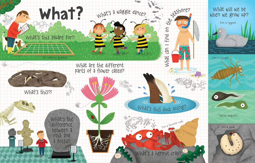 Usborne – Lift-the-flap Questions and Answers about Nature – Carte cu clapete pentru copii 5+ ani – carte pentru copii Usborne, preview pagini