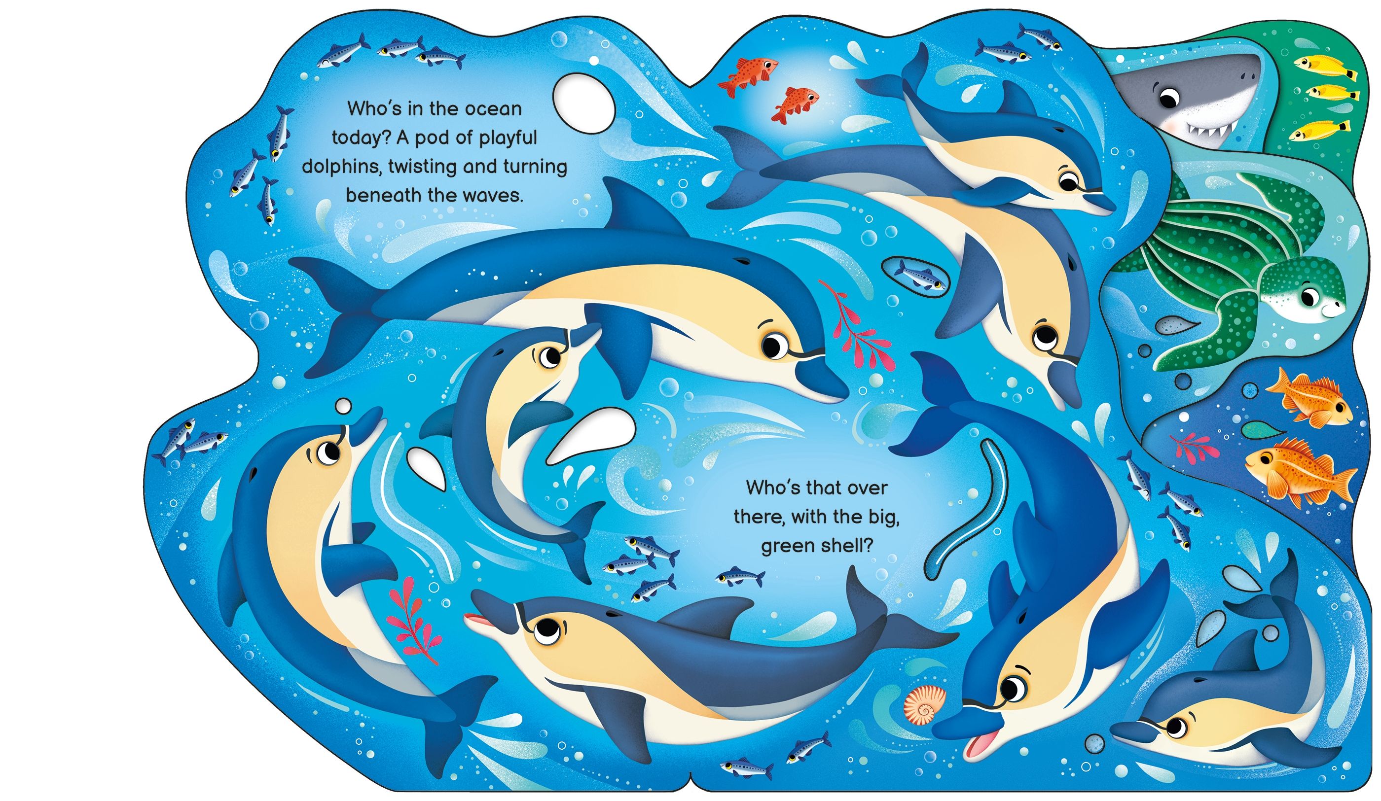 Usborne – Who's in the Ocean Today? – Carte pentru copii 12+ luni – carte pentru copii Usborne, pagini interior ilustrate