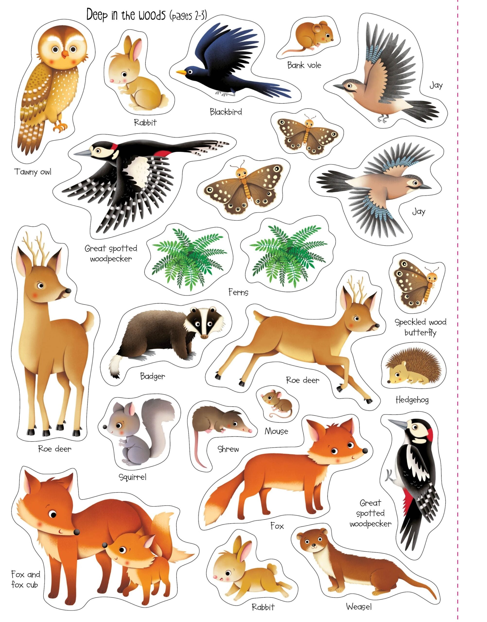 Usborne – First Sticker Book Nature – Carte cu stickere pentru copii 3+ ani – carte pentru copii Usborne, detalii conținut cu abțibilduri
