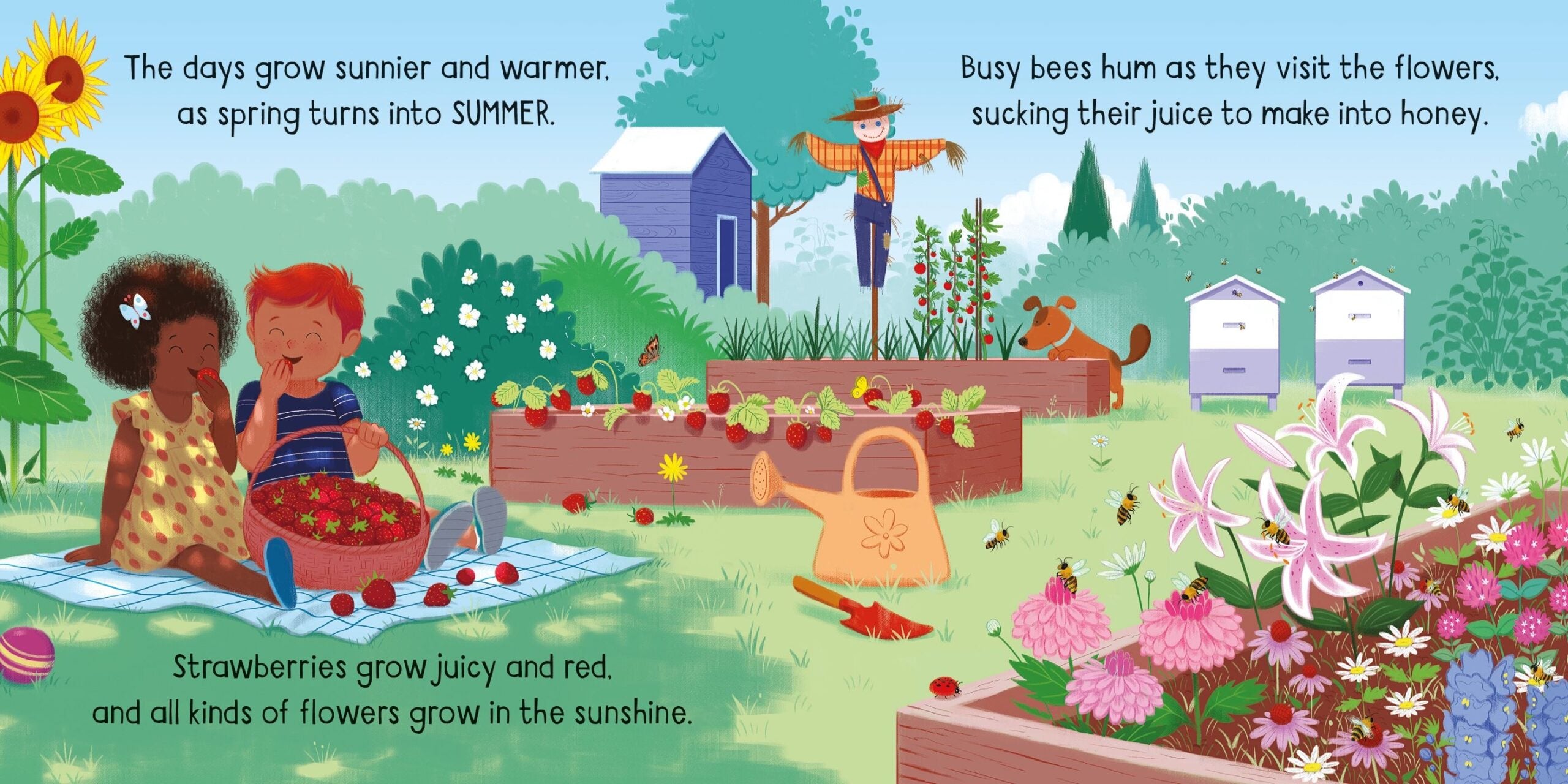 Usborne – Little Board Books The Seasons – Carte pentru copii 18+ luni – carte pentru copii Usborne, detalii conținut