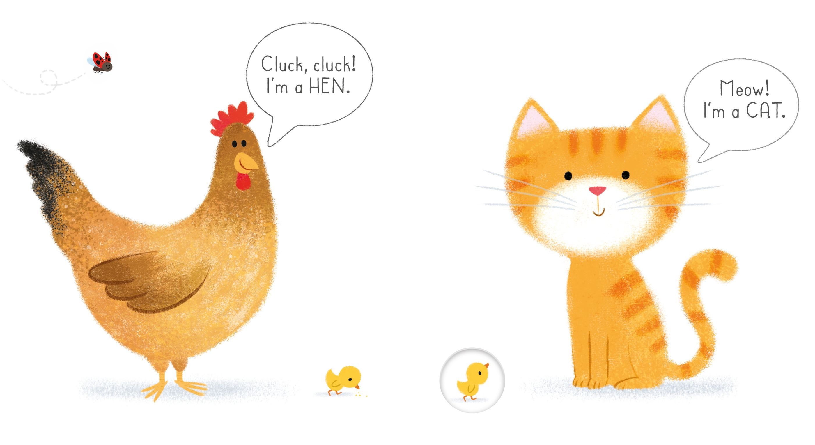 Usborne – Farm – Carte pentru copii 6+ luni – carte pentru copii Usborne, detalii conținut