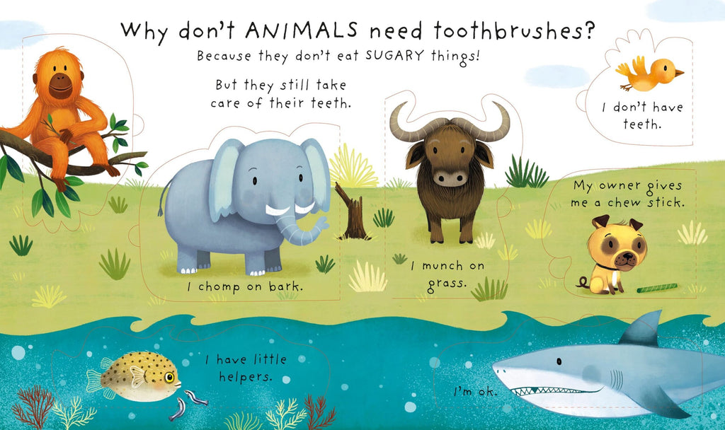 Usborne – Very First Questions and Answers Why Should I Brush My Teeth? – Carte pentru copii 3+ ani – carte pentru copii Usborne, detalii conținut