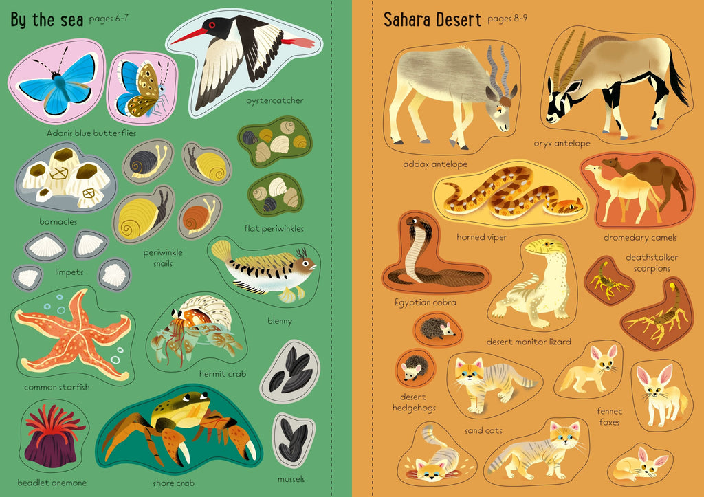 Usborne – Little First Stickers Nature – Carte cu stickere pentru copii 3+ ani – carte pentru copii Usborne, preview pagini