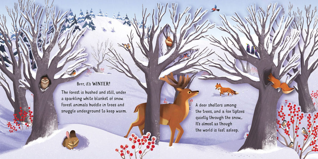 Usborne – Pop-Up Seasons – Carte pentru copii 3+ ani – carte pentru copii Usborne, detalii conținut