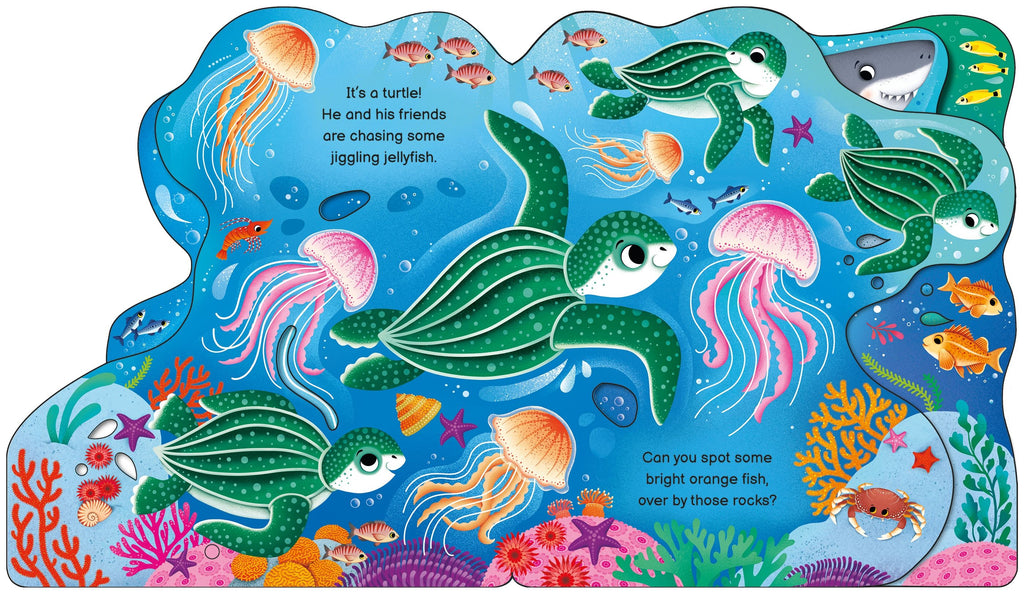 Usborne – Who's in the Ocean Today? – Carte pentru copii 12+ luni – carte pentru copii Usborne, detalii conținut