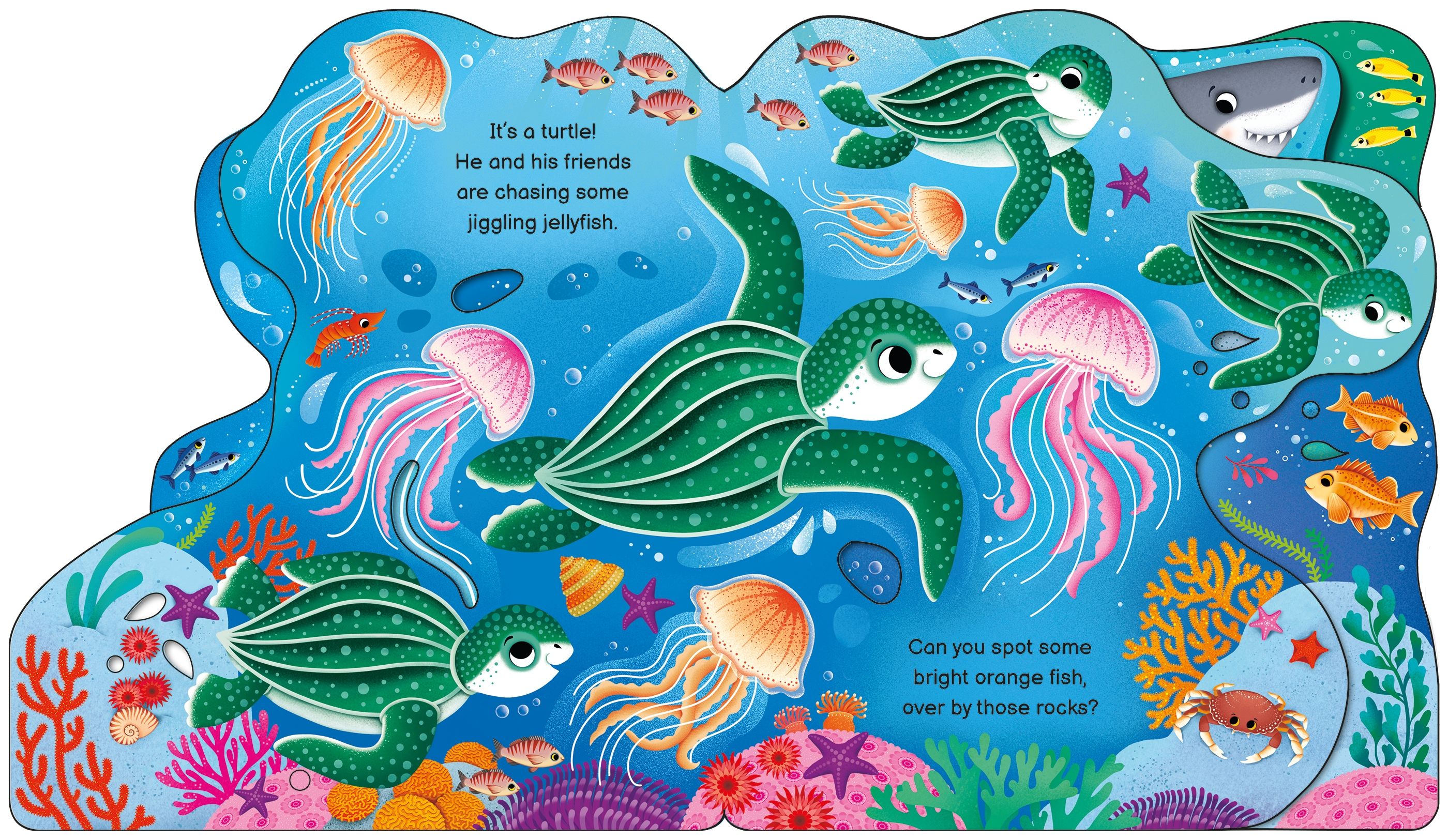 Usborne – Who's in the Ocean Today? – Carte pentru copii 12+ luni – carte pentru copii Usborne, detalii conținut