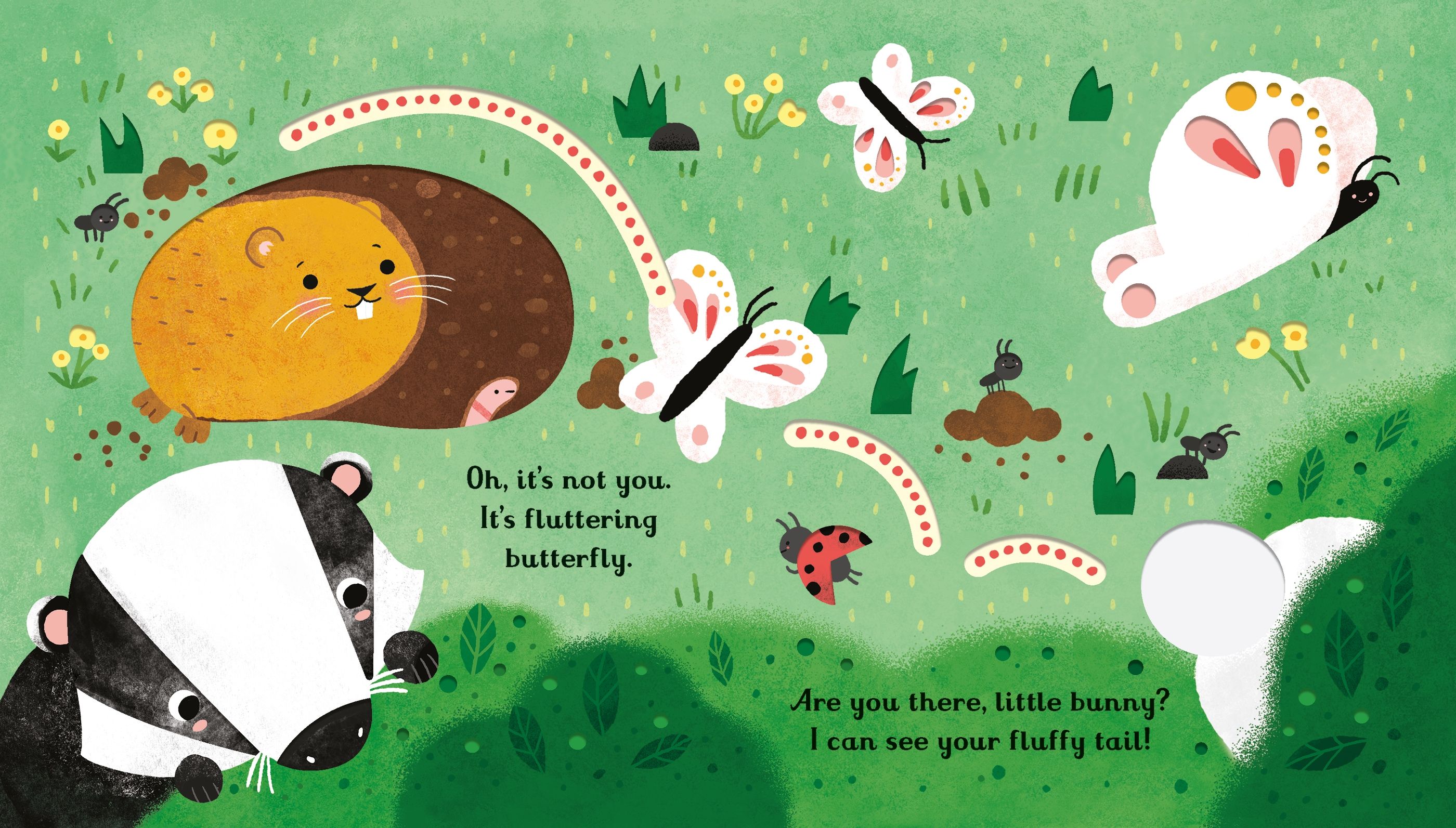 Usborne – Are you there little Bunny – Carte pentru copii 6+ luni – carte pentru copii Usborne, preview pagini