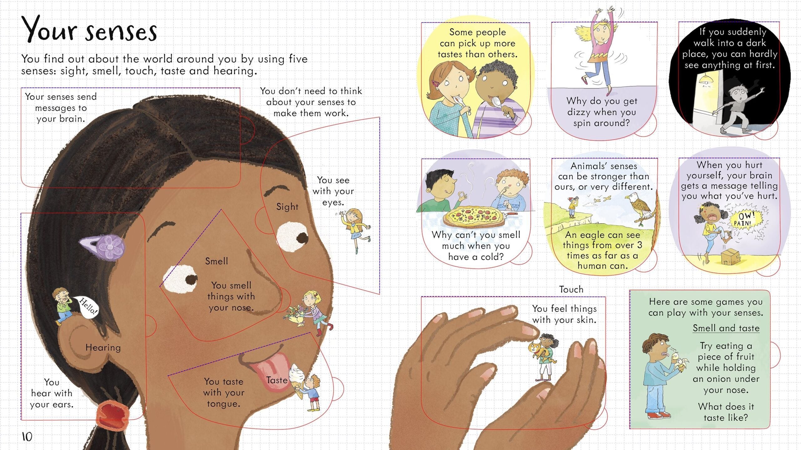 Usborne – Look Inside Your Body – Carte pentru copii 5+ ani – carte pentru copii Usborne, detalii conținut