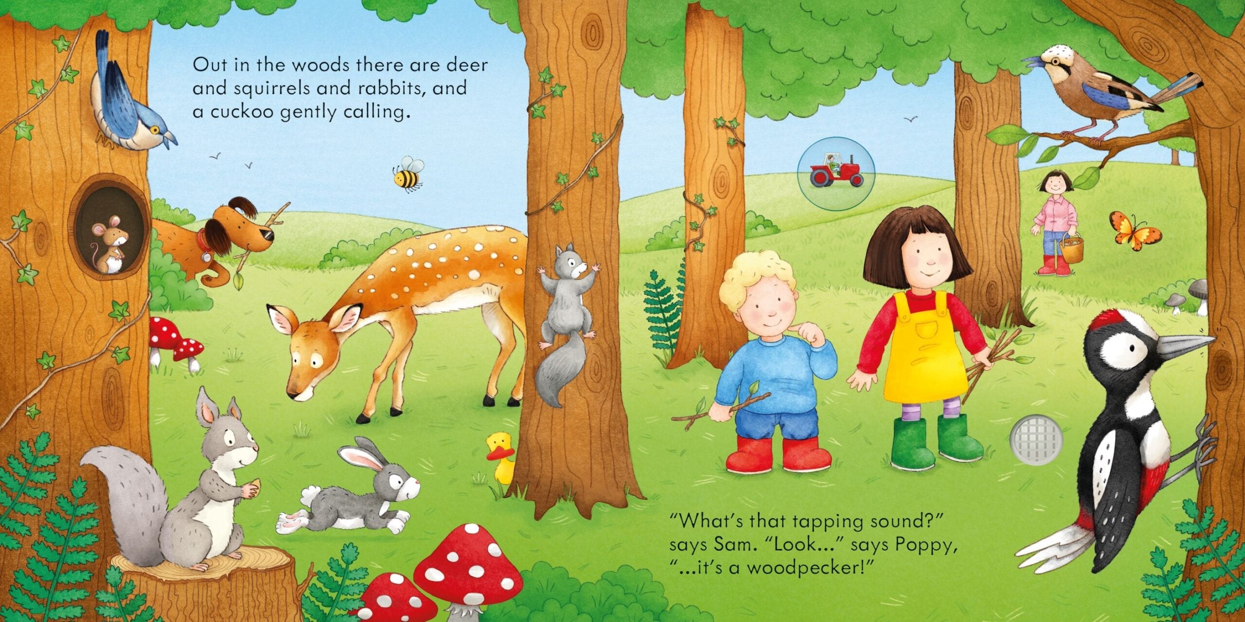 Usborne – Poppy and Sam's Nature Sounds – Carte cu sunete pentru copii 6+ luni – carte pentru copii Usborne, preview pagini
