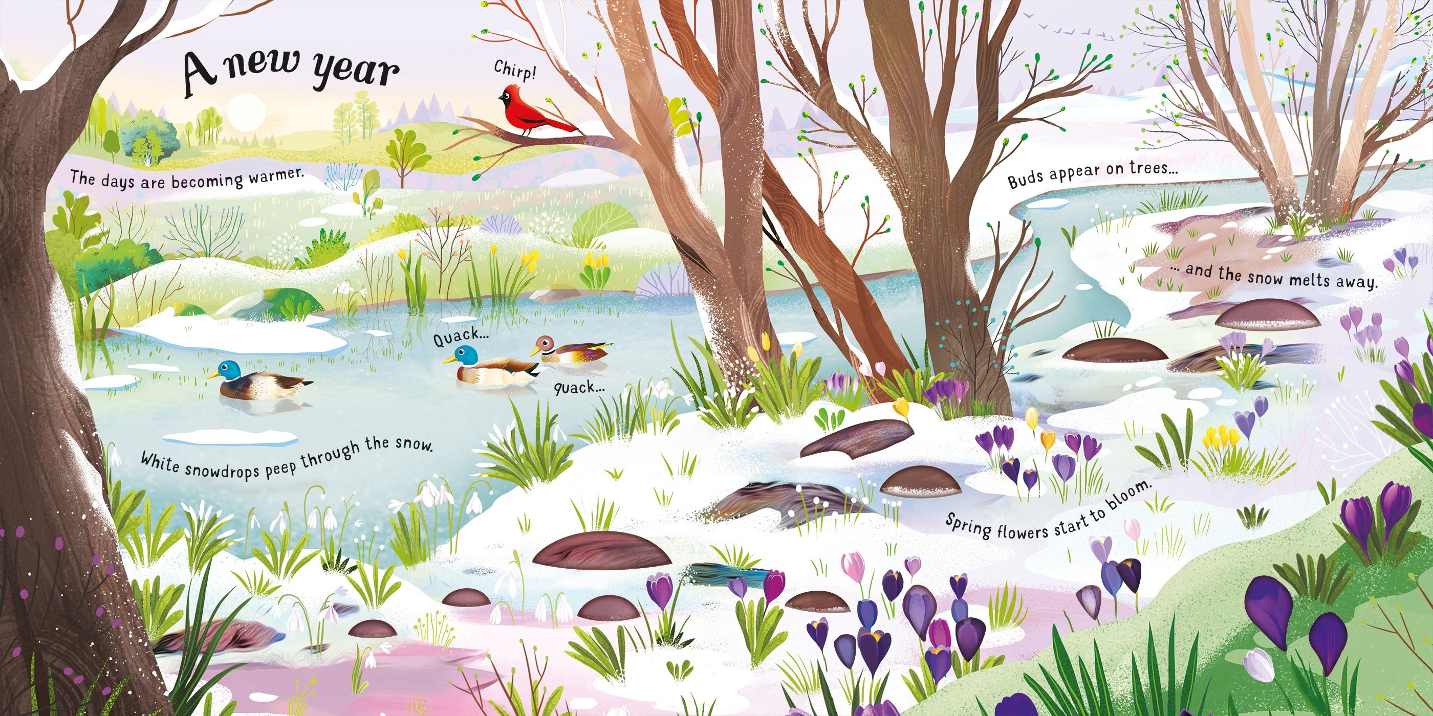 Usborne – The Four Seasons – Carte cu sunete pentru copii 3+ ani – carte pentru copii Usborne, preview pagini