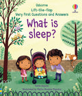 Usborne – Very First Questions and Answers What is Sleep? – Carte pentru copii 3+ ani – carte pentru copii Usborne, copertă