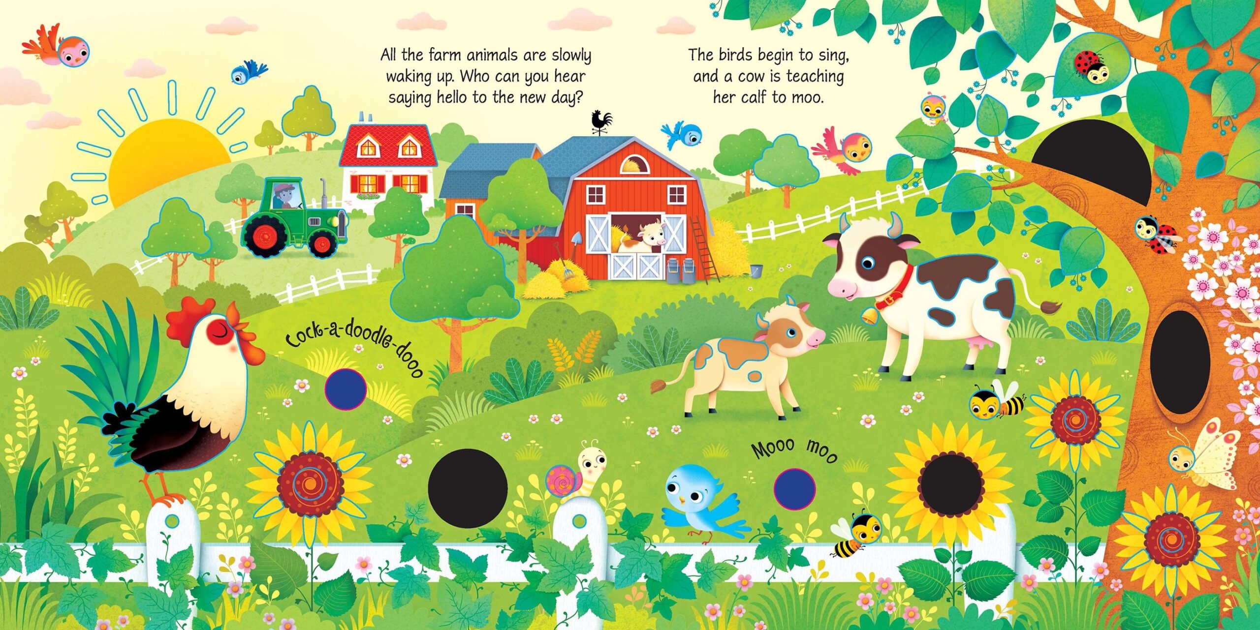 Usborne – Farm Sounds – Carte cu sunete pentru copii 3+ ani – carte pentru copii Usborne, detalii conținut cu sunete
