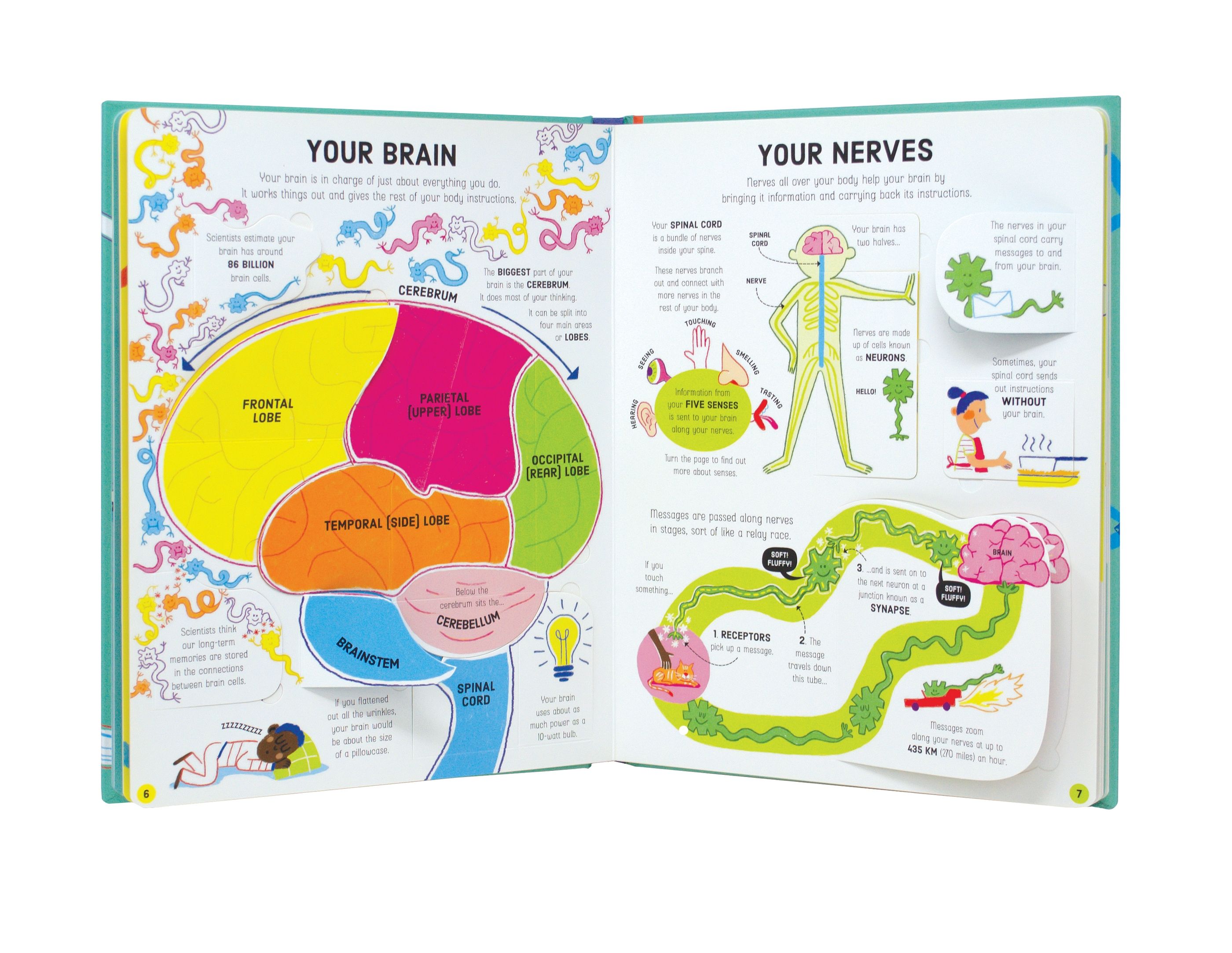 Lift-the-Flap How Your Body Works – Carte cu clapete pentru copii 6+ ani, Usborne