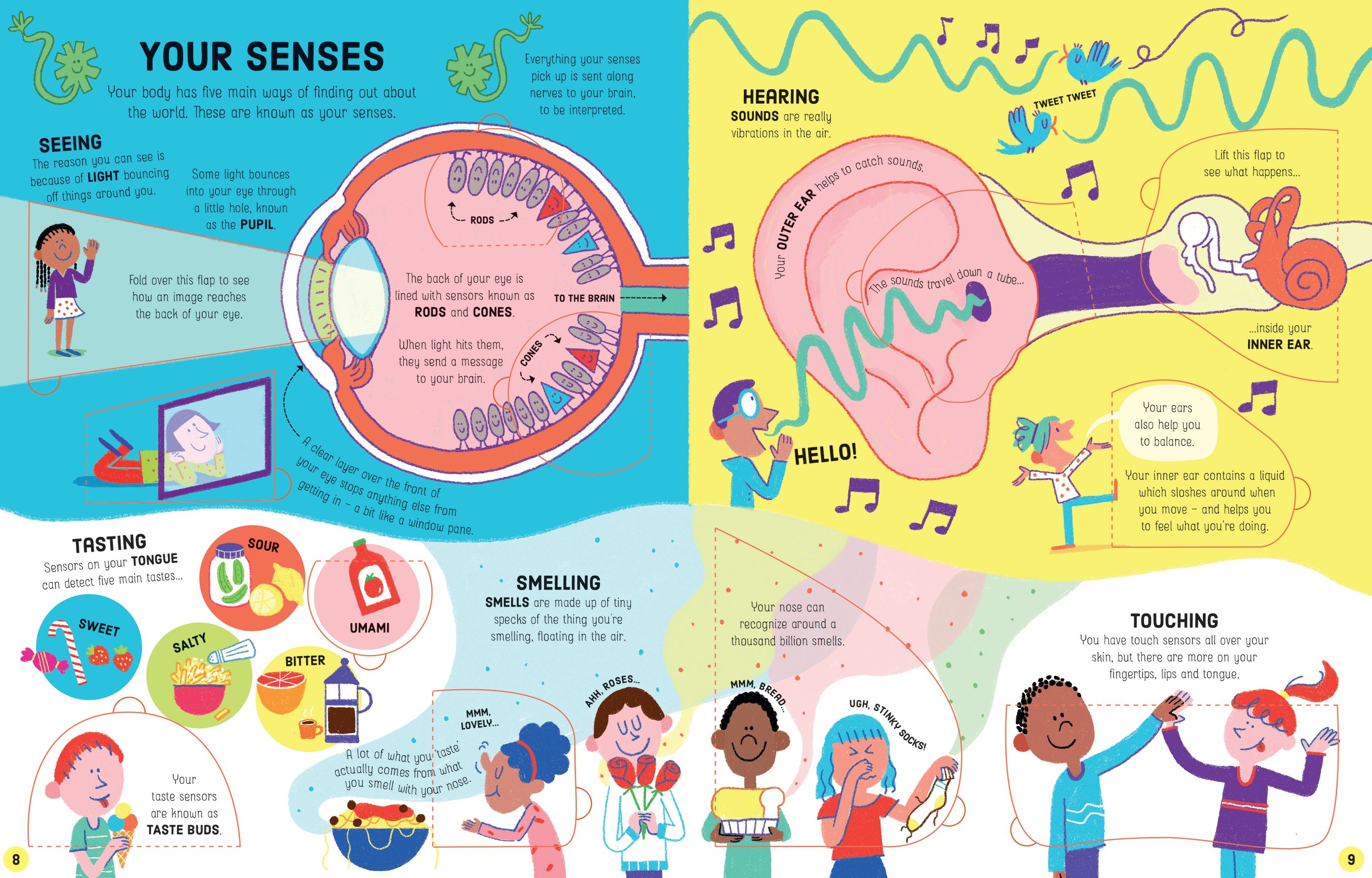 Lift-the-Flap How Your Body Works – Carte cu clapete pentru copii 6+ ani, Usborne