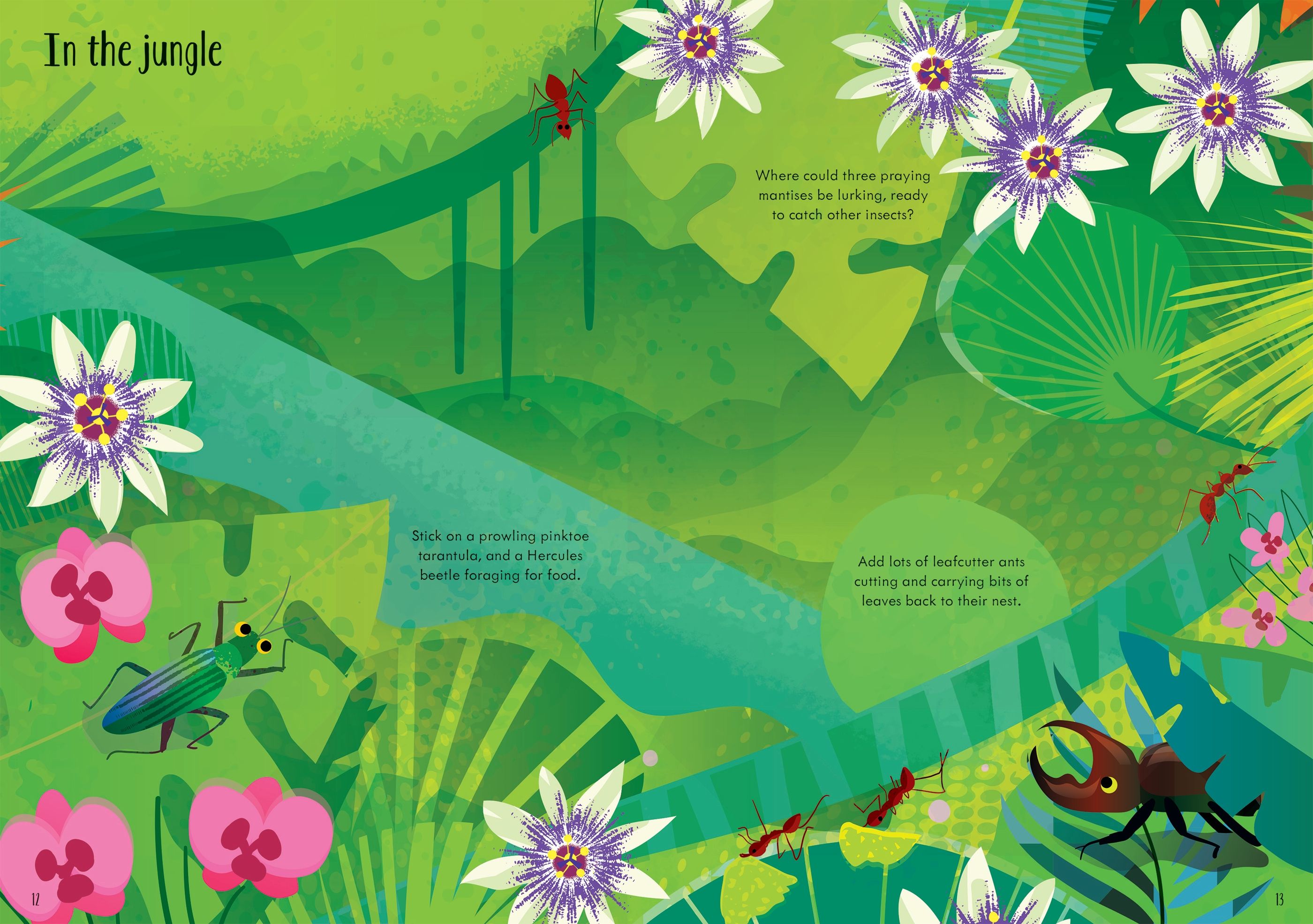 Detaliu din cartea „Little First Stickers Bugs”, Usborne – imaginea 3