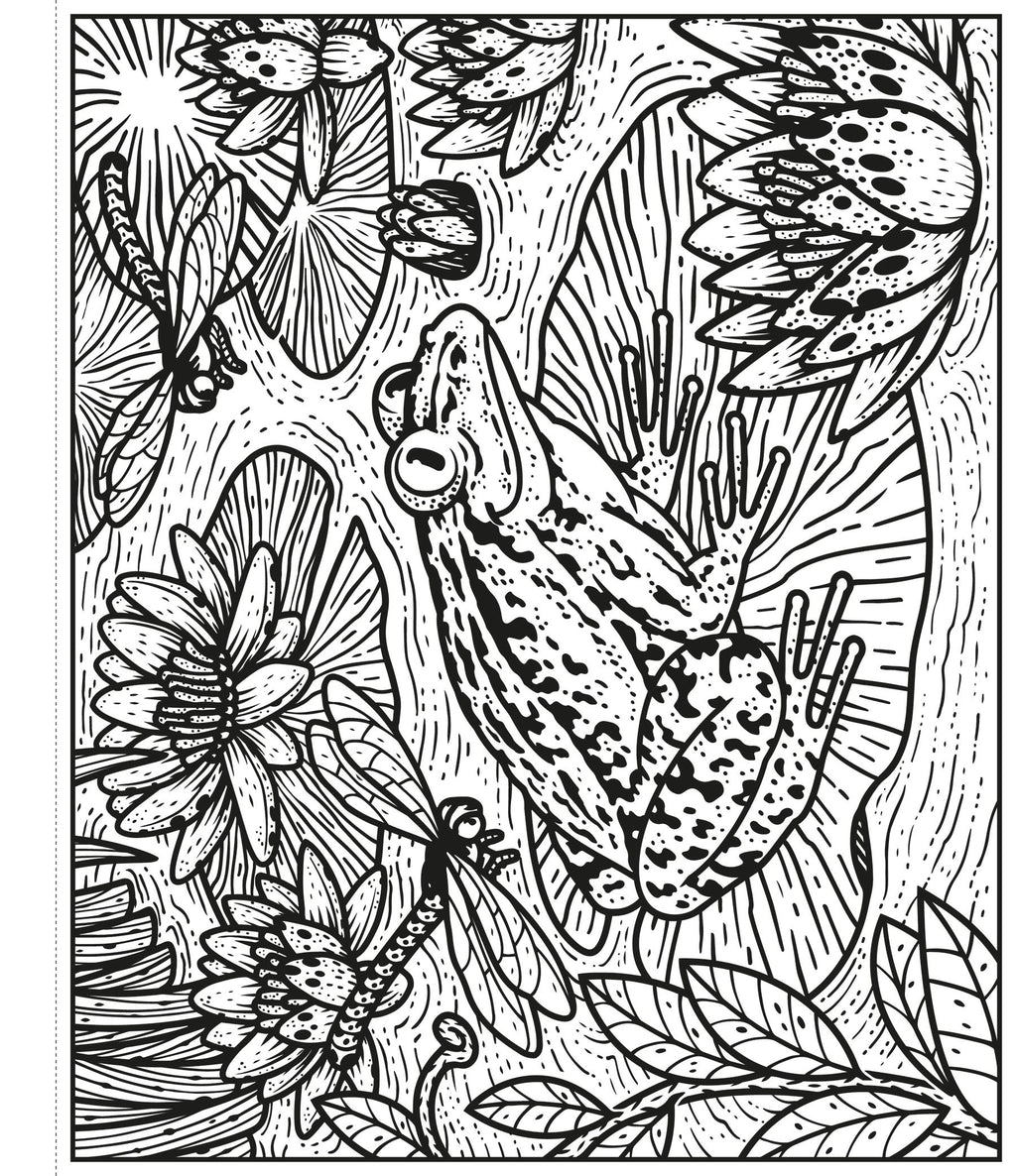 Garden Magic Painting Book – Carte de activități pentru copii 5+ ani, Usborne