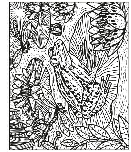 Garden Magic Painting Book – Carte de activități pentru copii 5+ ani, Usborne