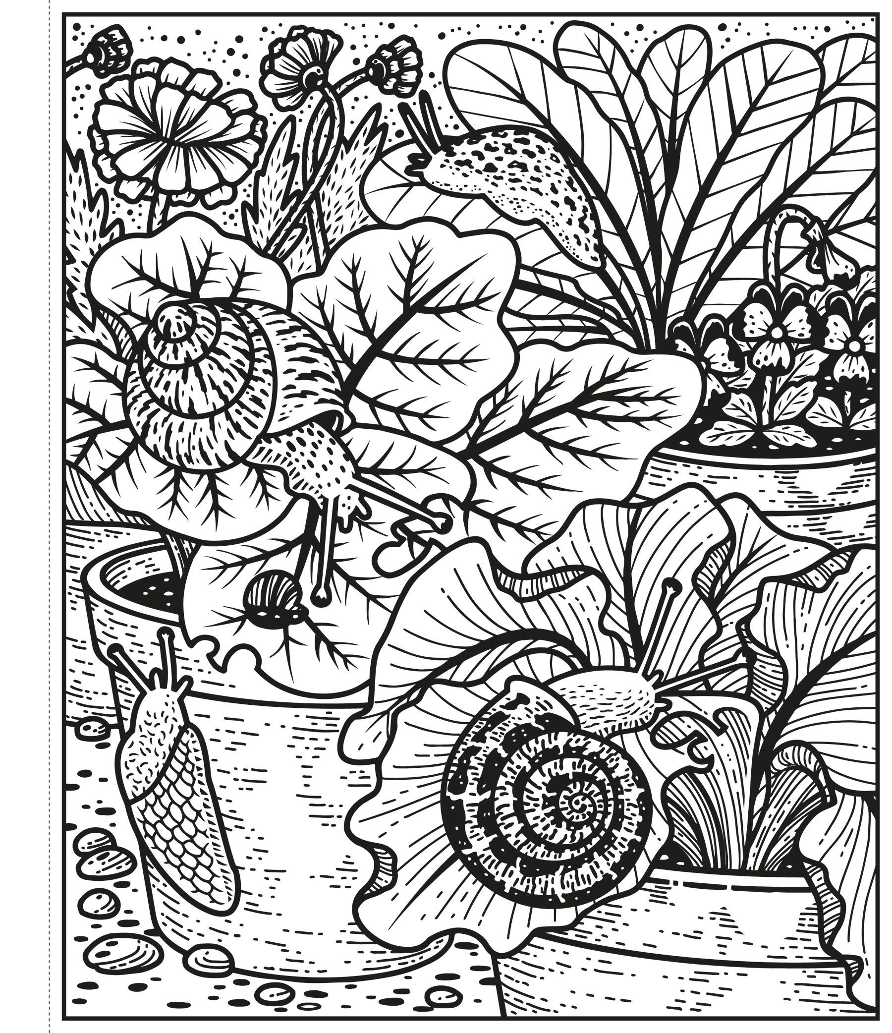 Garden Magic Painting Book – Carte de activități pentru copii 5+ ani, Usborne