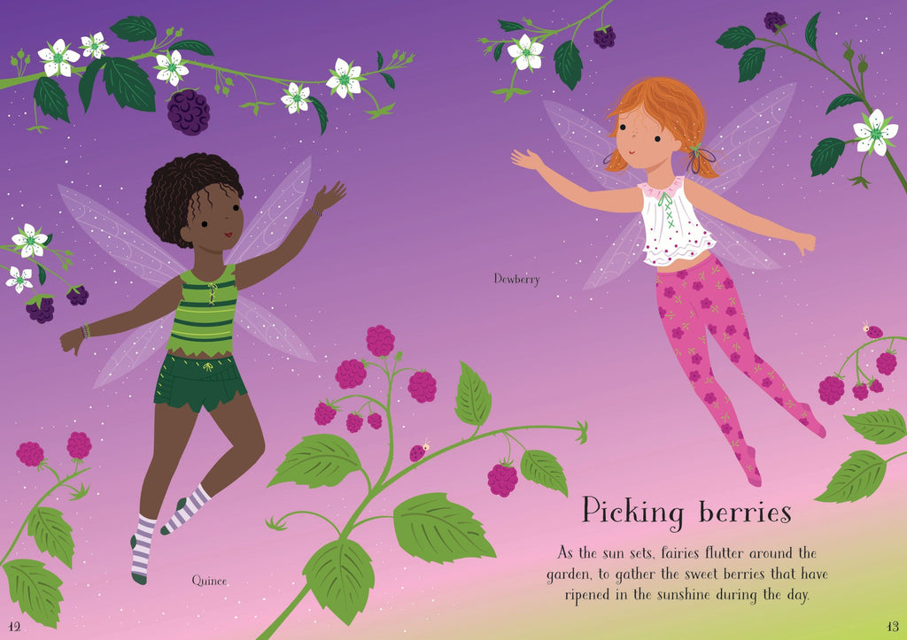 Little Sticker Dolly Dressing Garden Fairy – Carte cu stickere pentru copii 4+ ani, Usborne