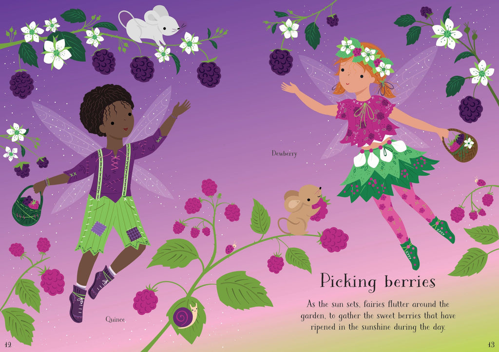 Little Sticker Dolly Dressing Garden Fairy – Carte cu stickere pentru copii 4+ ani, Usborne