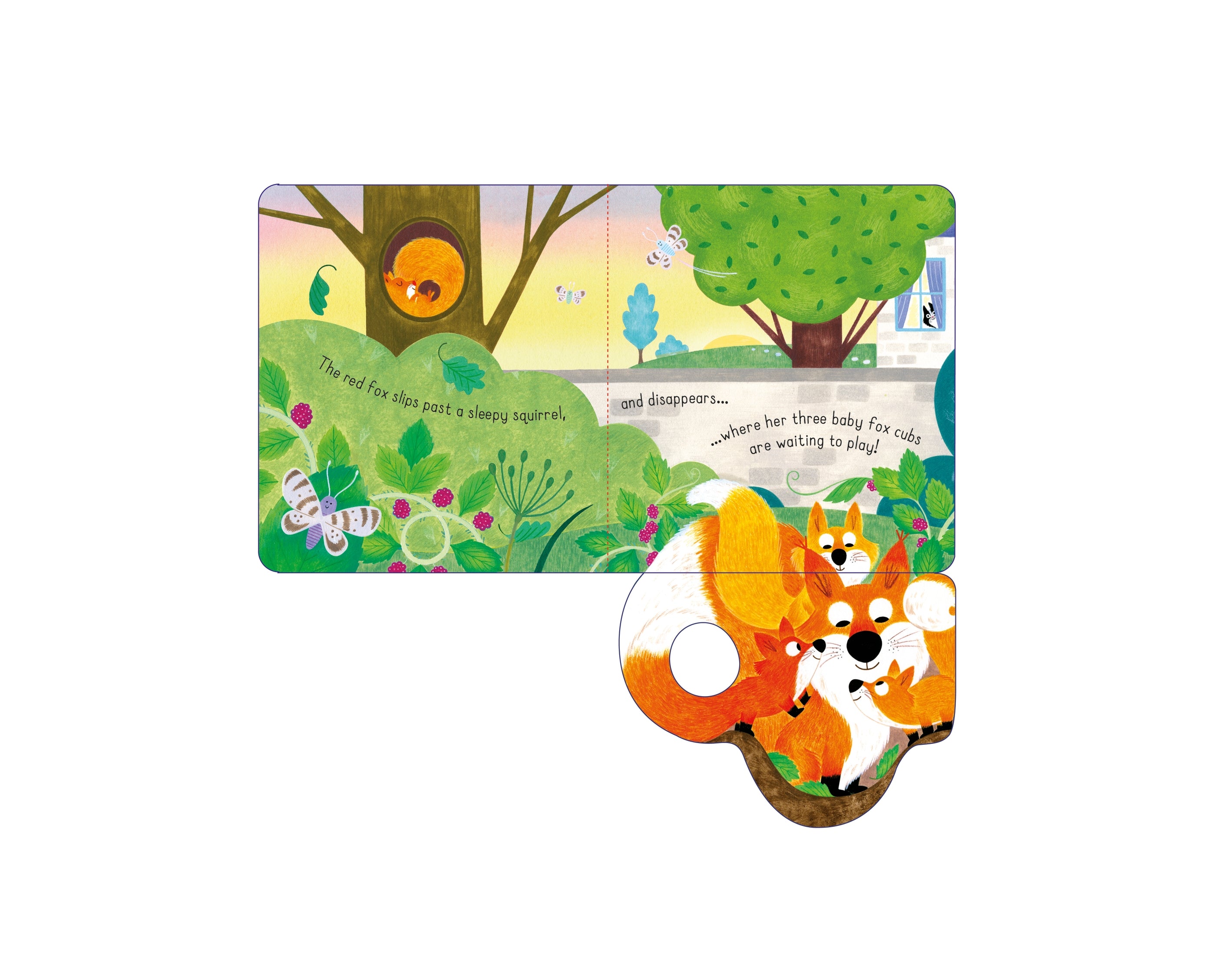 Detaliu din cartea „Little Lift and Look Red Fox”, Usborne – imaginea 4