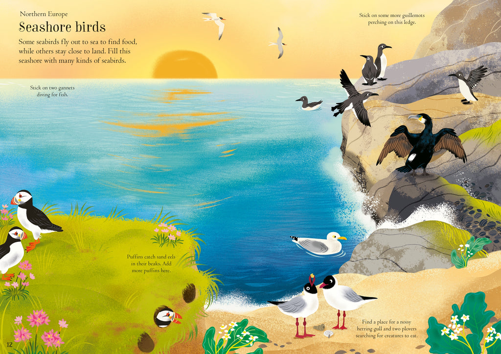 Detaliu din cartea „Little First Stickers Birds”, Usborne – imaginea 2