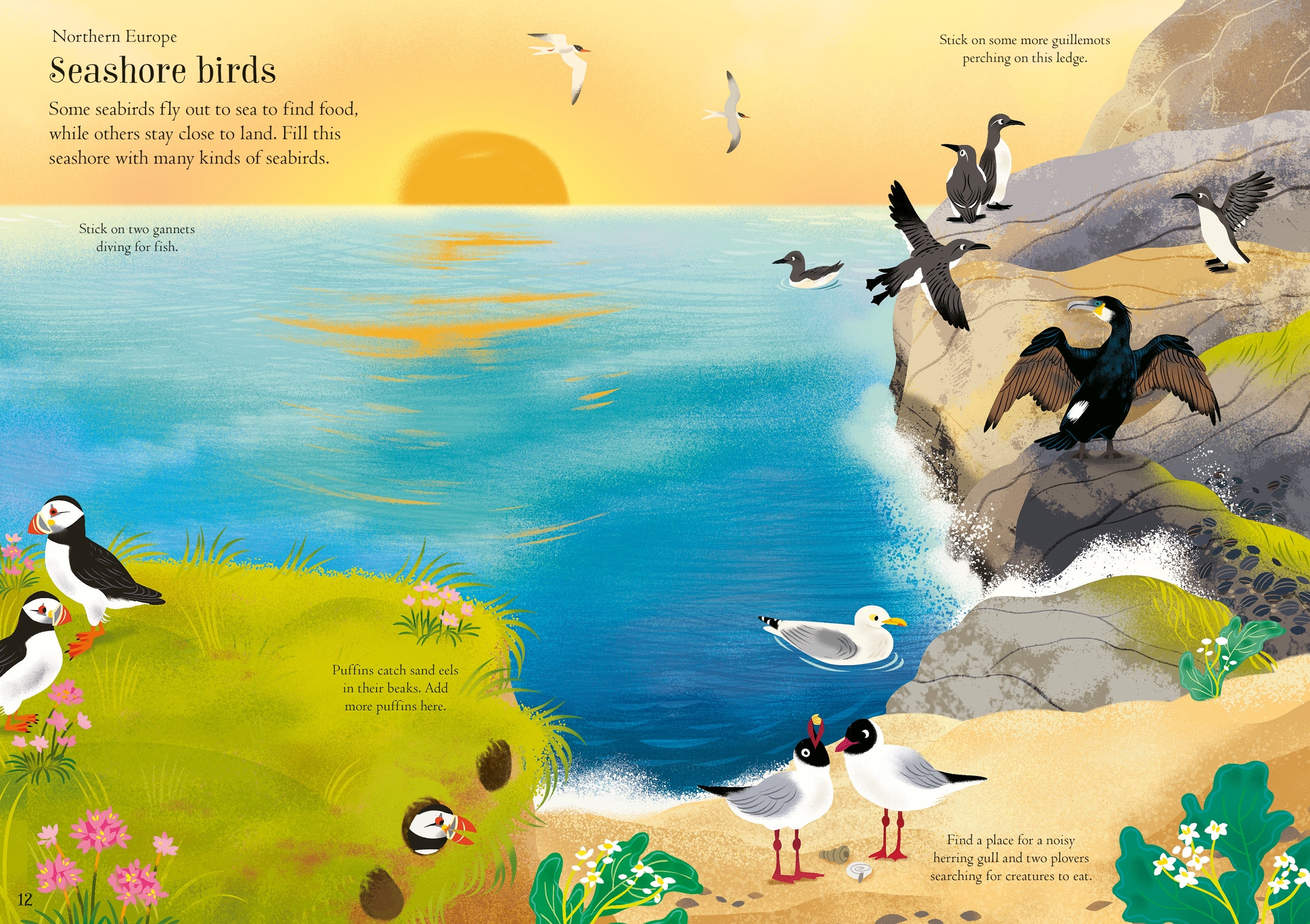 Detaliu din cartea „Little First Stickers Birds”, Usborne – imaginea 2