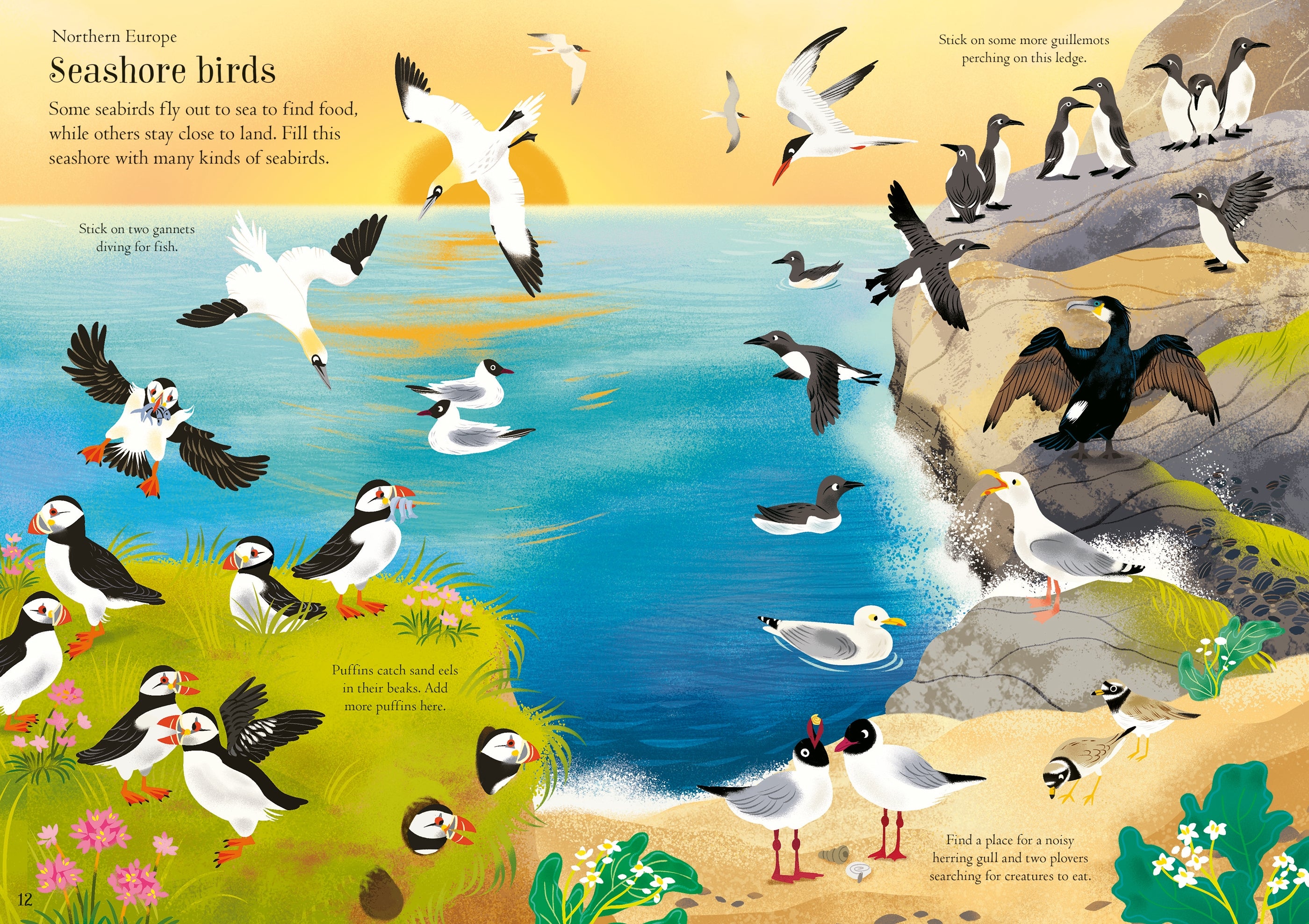 Detaliu din cartea „Little First Stickers Birds”, Usborne – imaginea 3