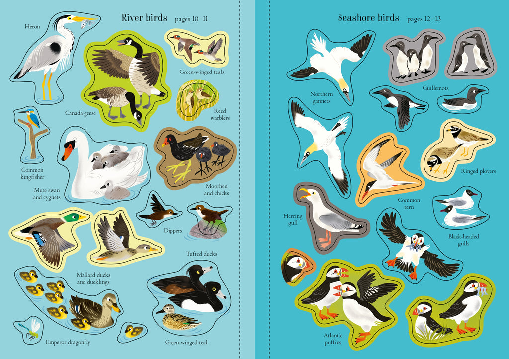 Detaliu din cartea „Little First Stickers Birds”, Usborne – imaginea 4