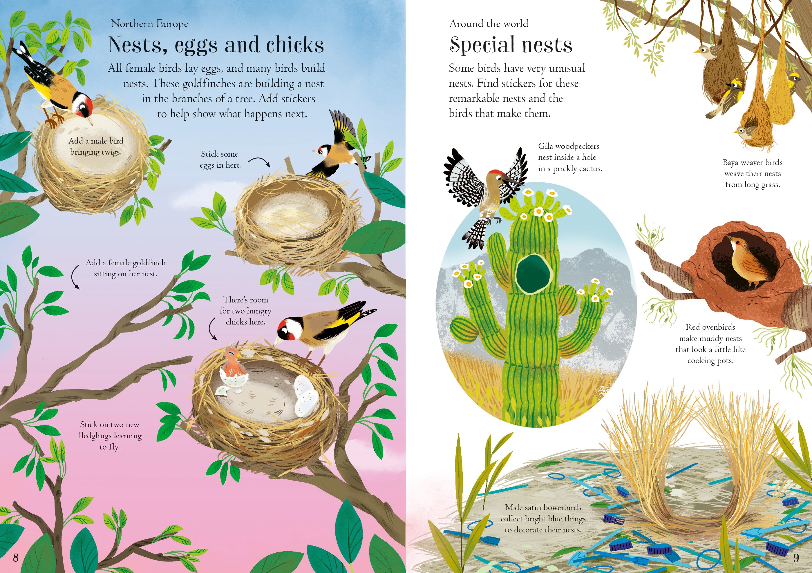 Detaliu din cartea „Little First Stickers Birds”, Usborne – imaginea 5