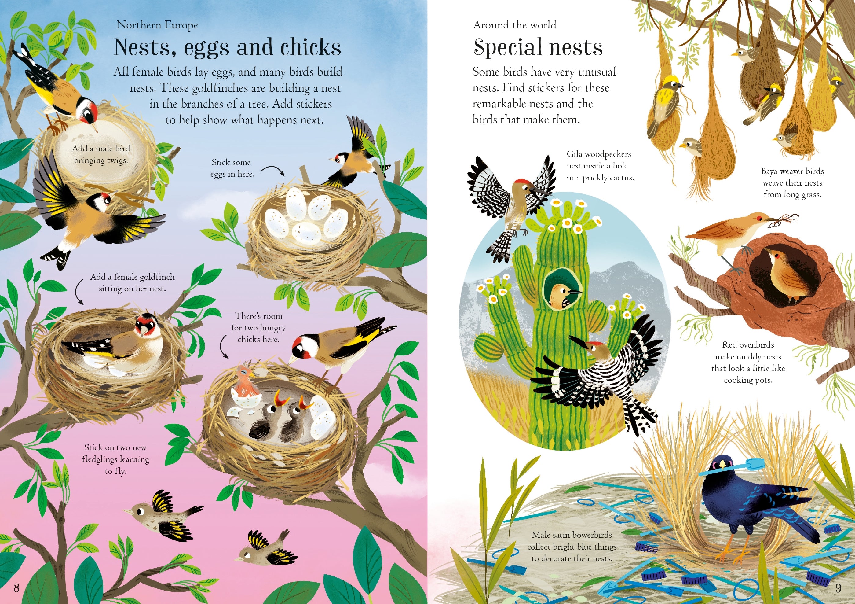 Detaliu din cartea „Little First Stickers Birds”, Usborne – imaginea 6