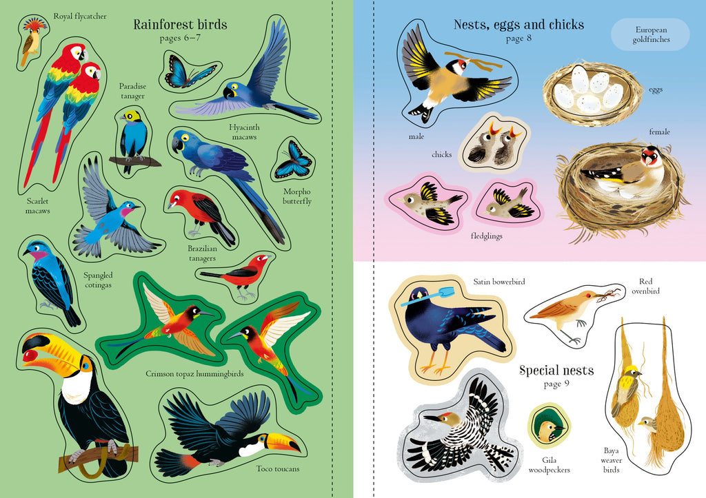 Detaliu din cartea „Little First Stickers Birds”, Usborne – imaginea 7